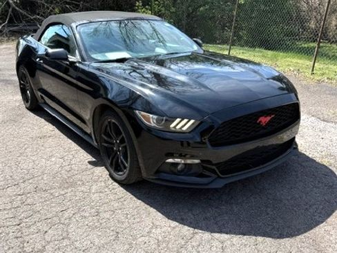 Used 2017 Ford Mustang Premium image 1