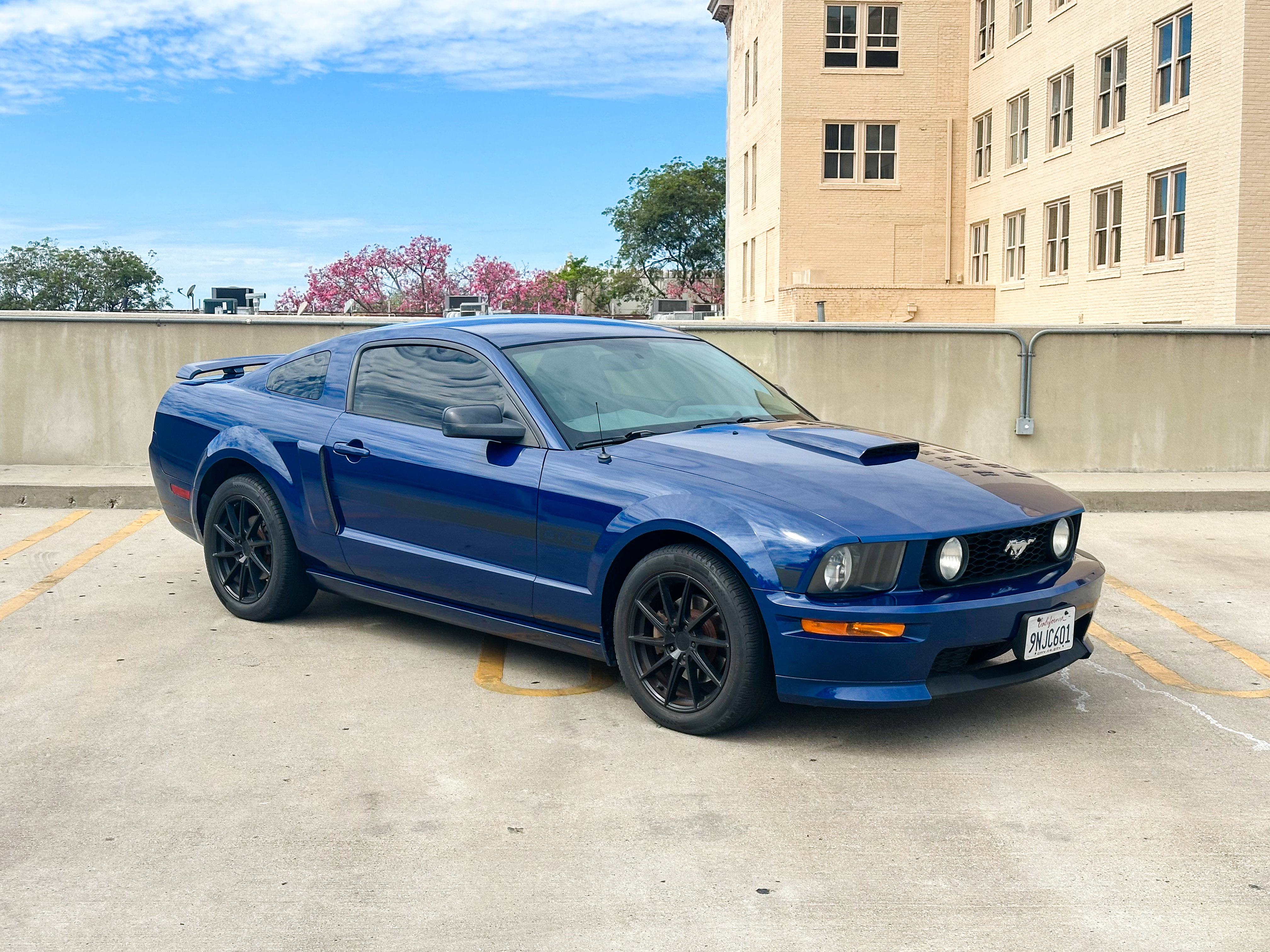 Used 2008 Ford Mustang GT Premium RWD image 14
