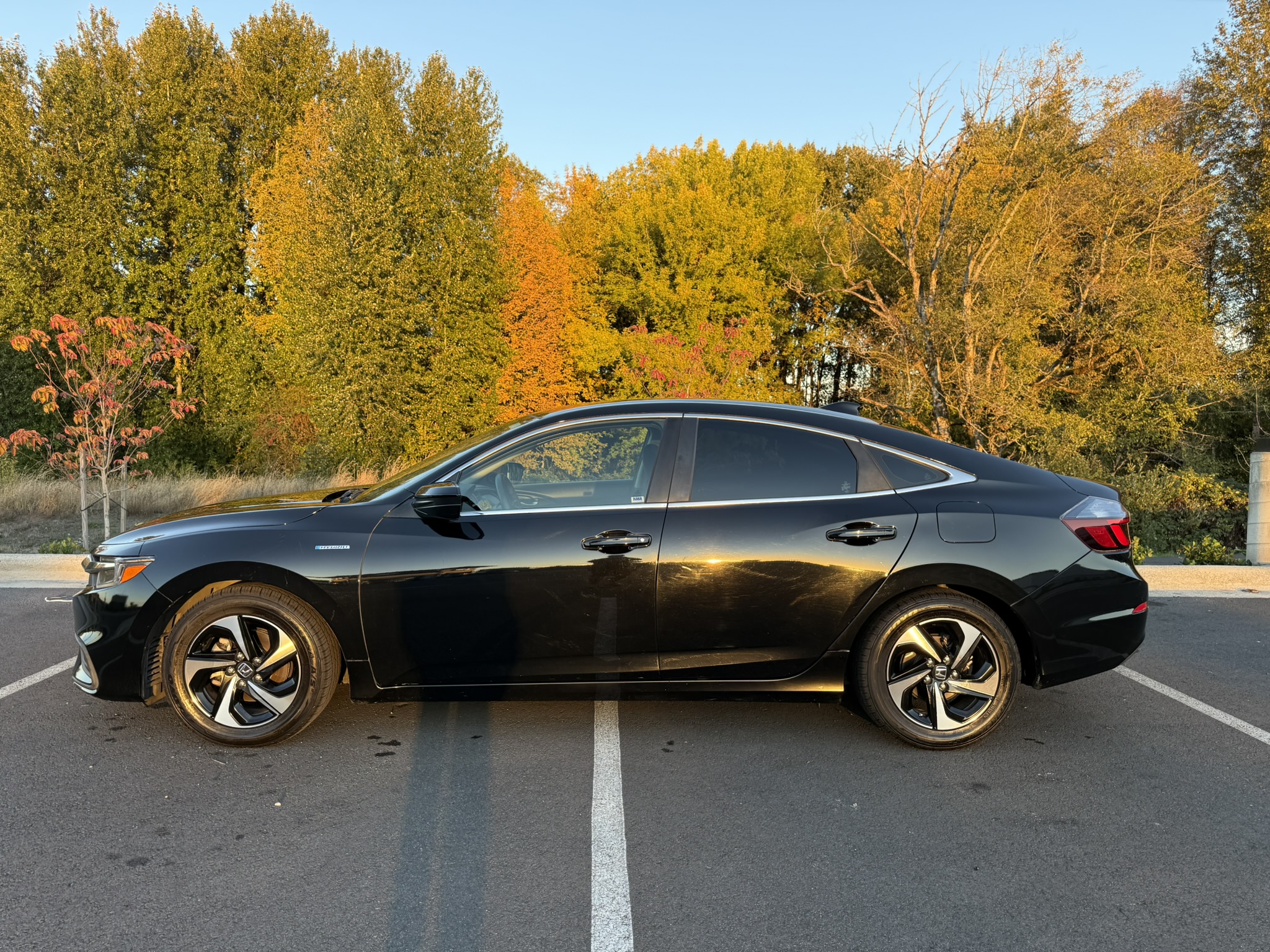 Used 2022 Honda Insight EX image 5