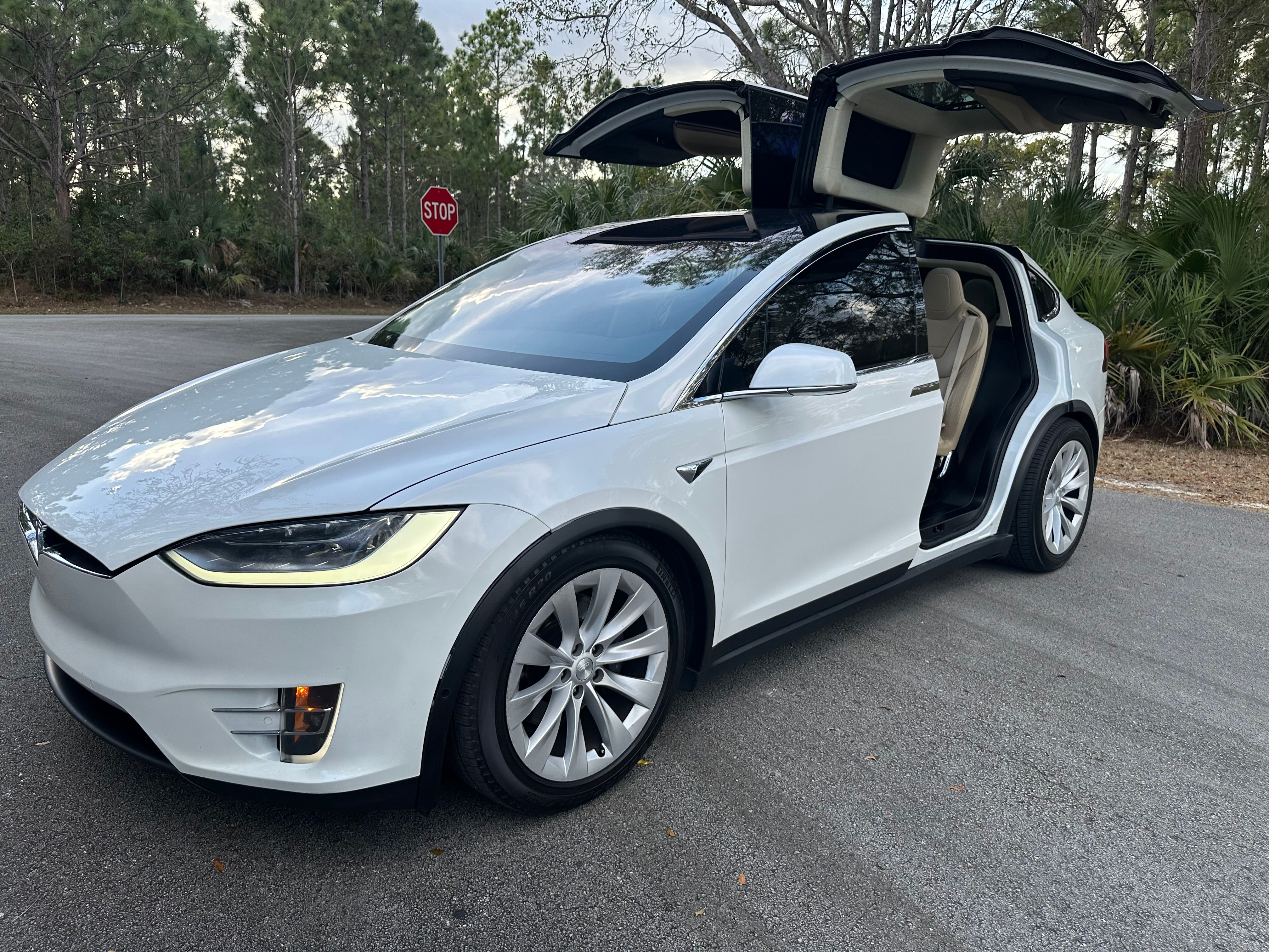 Used 2017 Tesla Model X 100D AWD/4WD image 6