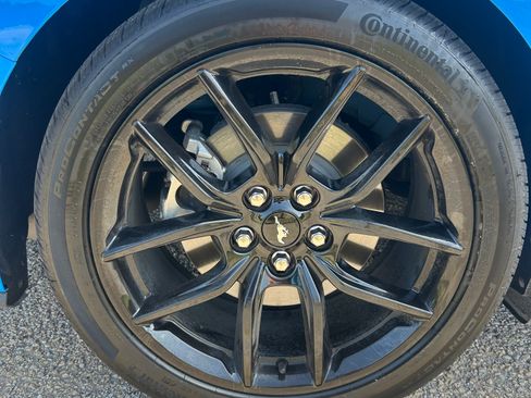 Used 2025 Ford Mustang Premium w/ Mustang Nite Pony Package RWD image 16