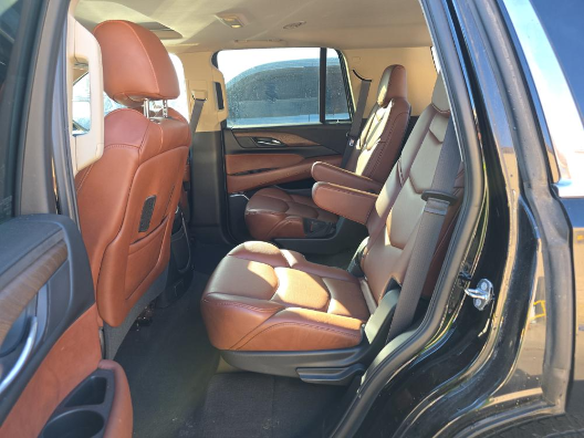 Used 2018 Cadillac Escalade Luxury w/ LPO, Radiant Package AWD/4WD image 10