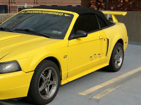 Used 2001 Ford Mustang GT image 11