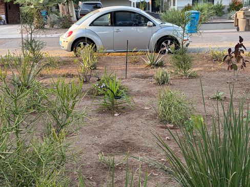 Used 2006 Volkswagen Beetle Coupe image 3