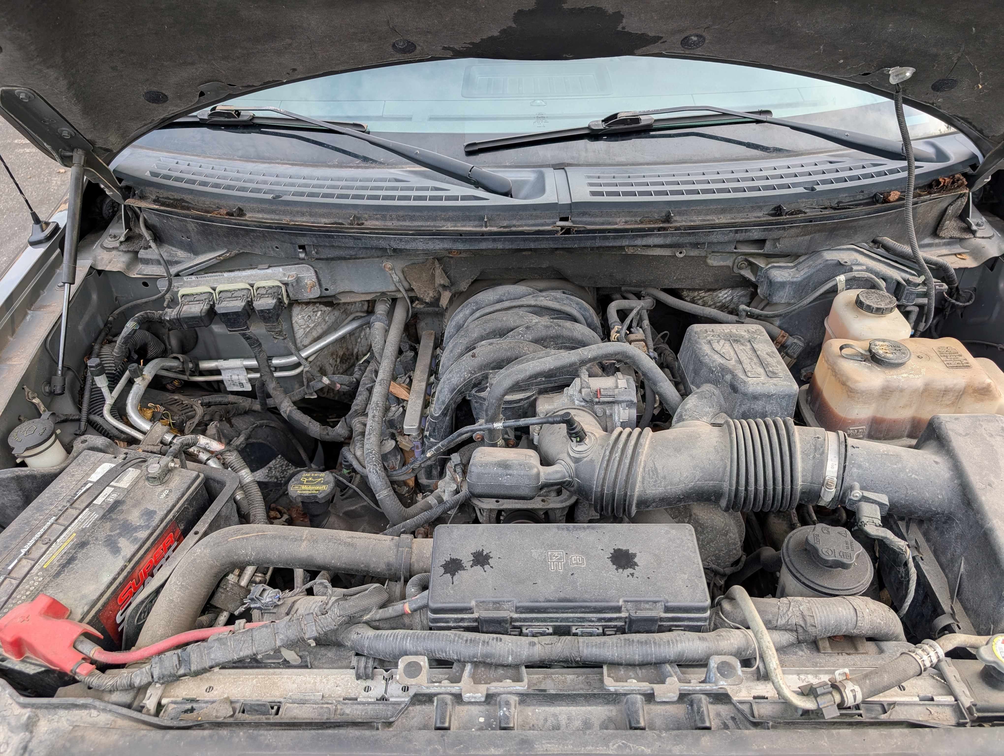 Used 2010 Ford F150 XLT AWD/4WD image 18