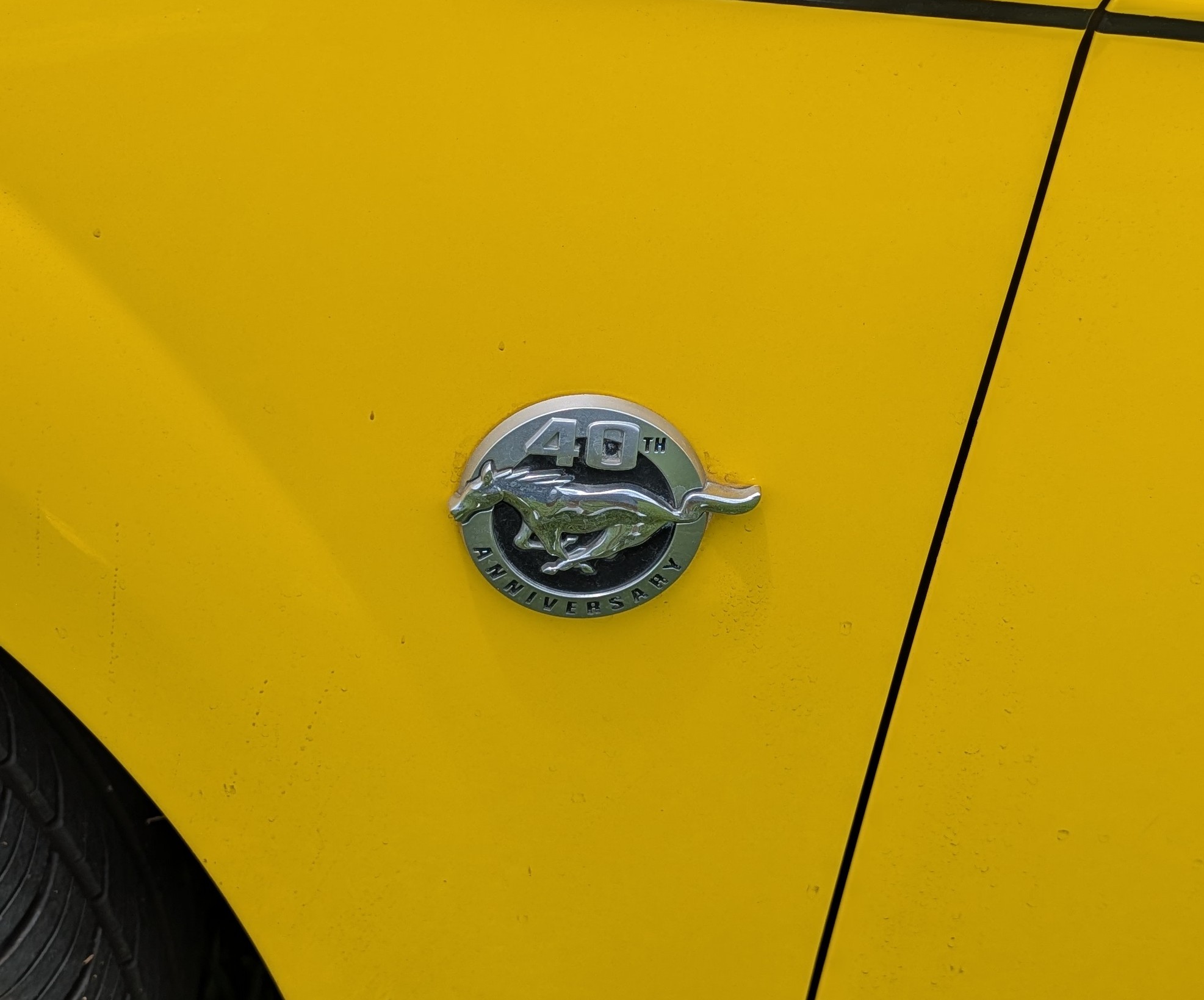 Used 2004 Ford Mustang GT Premium RWD image 13