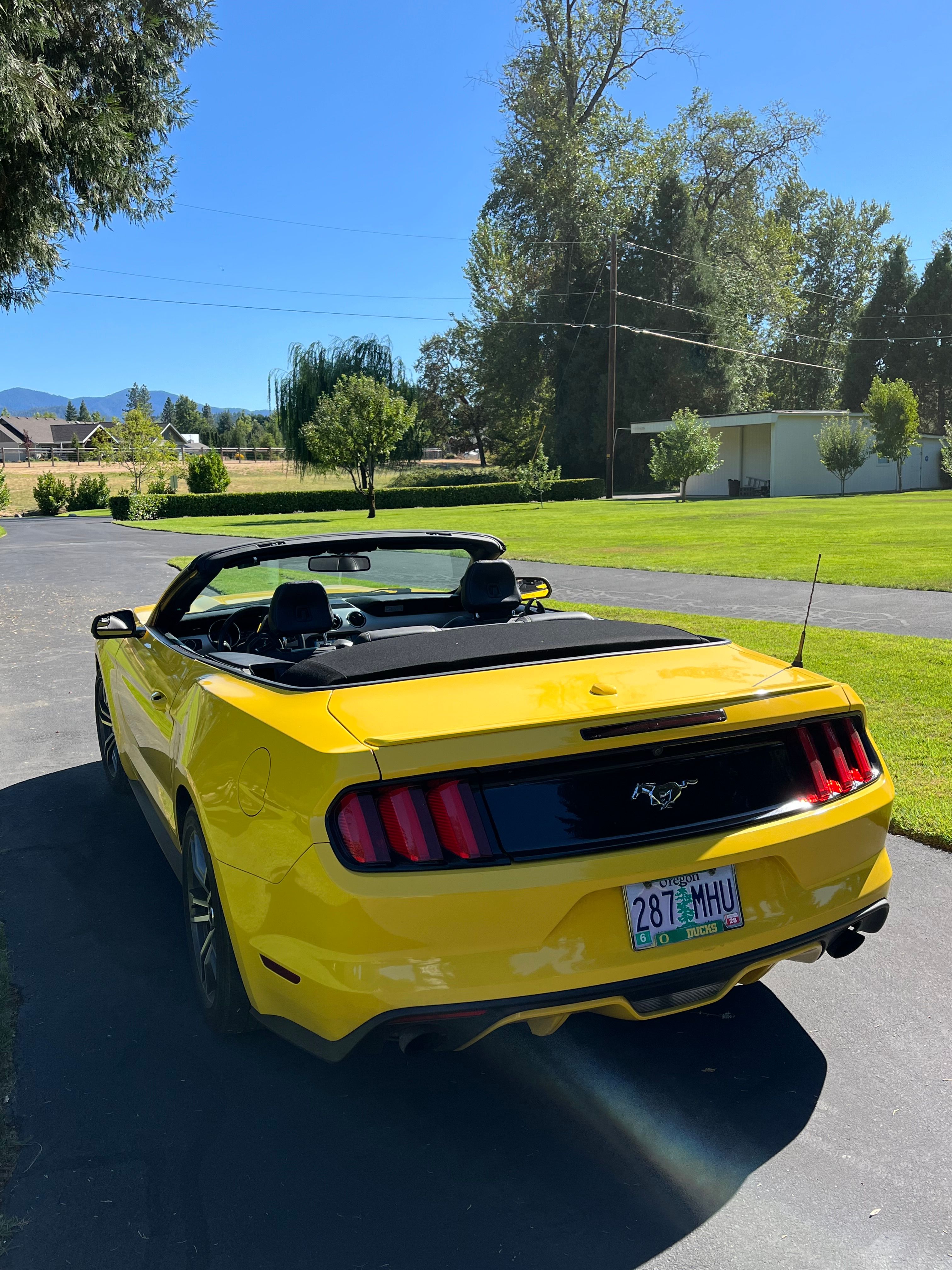 Used 2017 Ford Mustang Premium RWD image 2