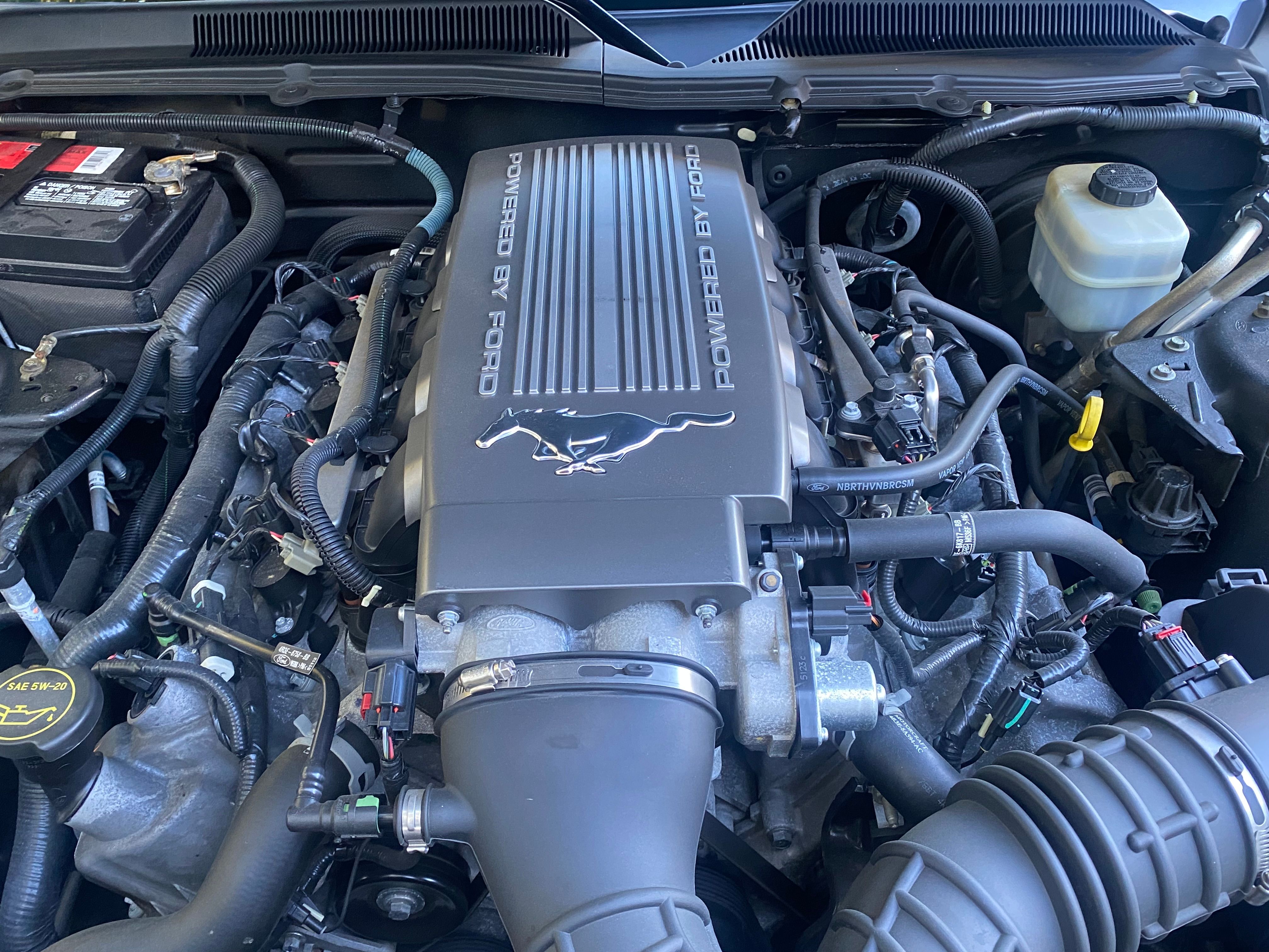 Used 2005 Ford Mustang GT RWD image 6