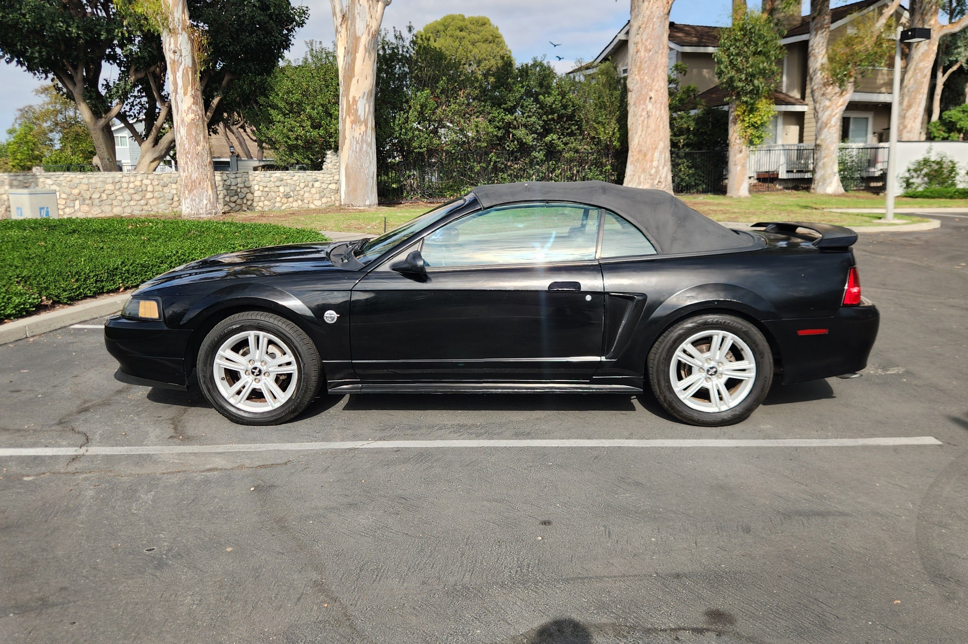 Used 2004 Ford Mustang Premium RWD image 10
