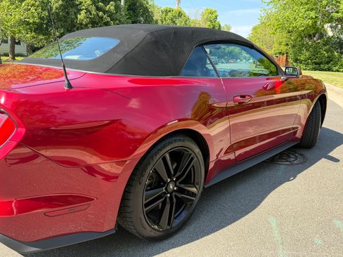 Used 2016 Ford Mustang Premium w/ Ecoboost Performance Package RWD image 11