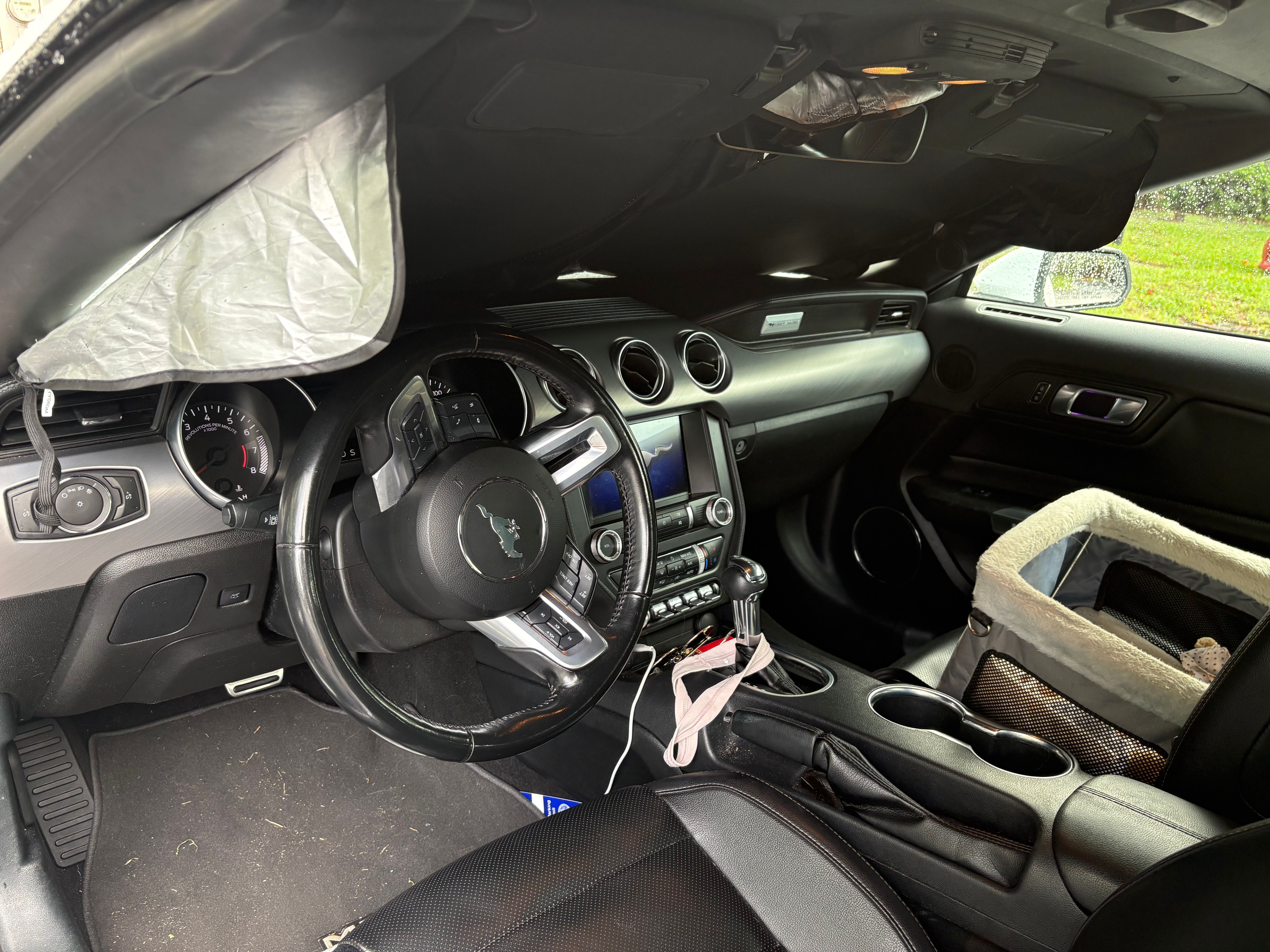 Used 2023 Ford Mustang Premium RWD image 6