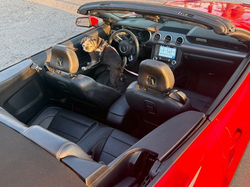 Used 2018 Ford Mustang Premium w/ Equipment Group 201A RWD image 8