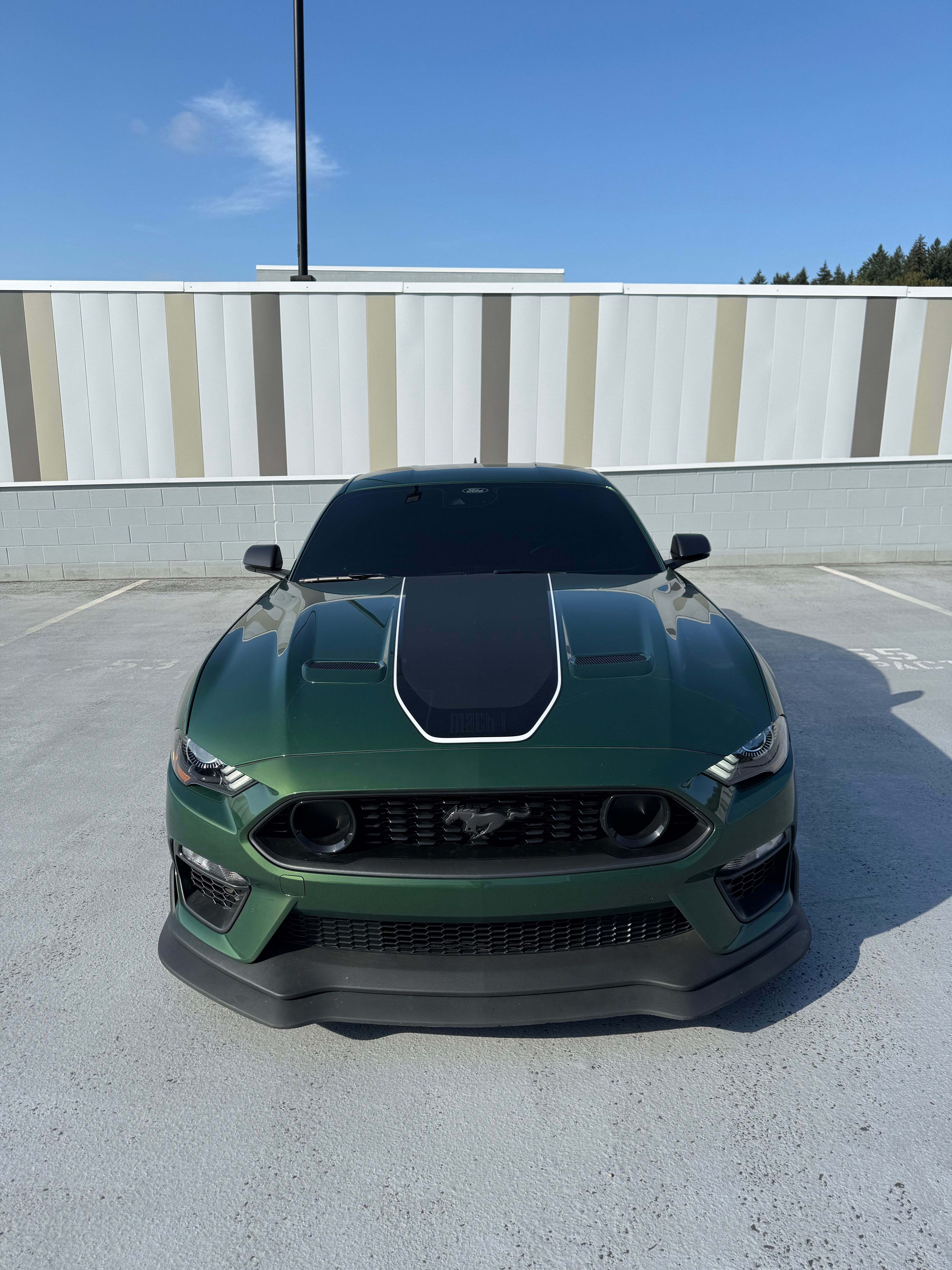 Used 2022 Ford Mustang Mach 1 w/ Mach 1 Handling Package RWD image 10