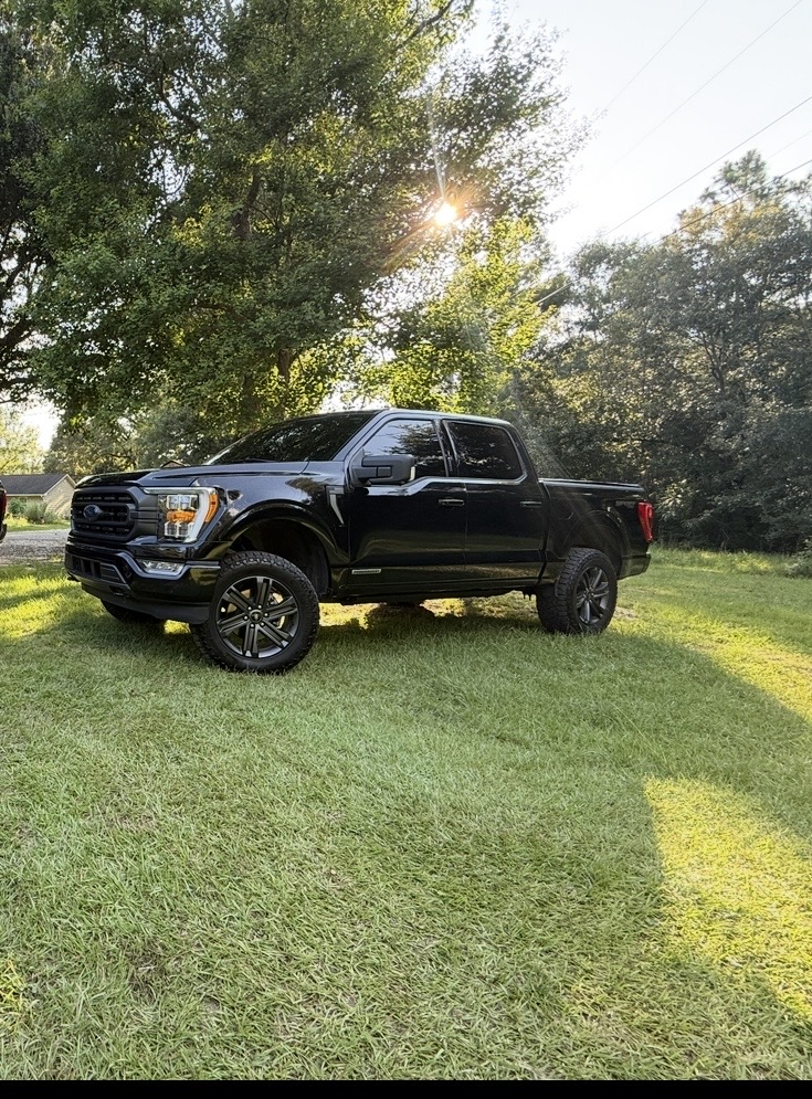 Used 2023 Ford F150 XLT w/ Equipment Group 302A High AWD/4WD image 1