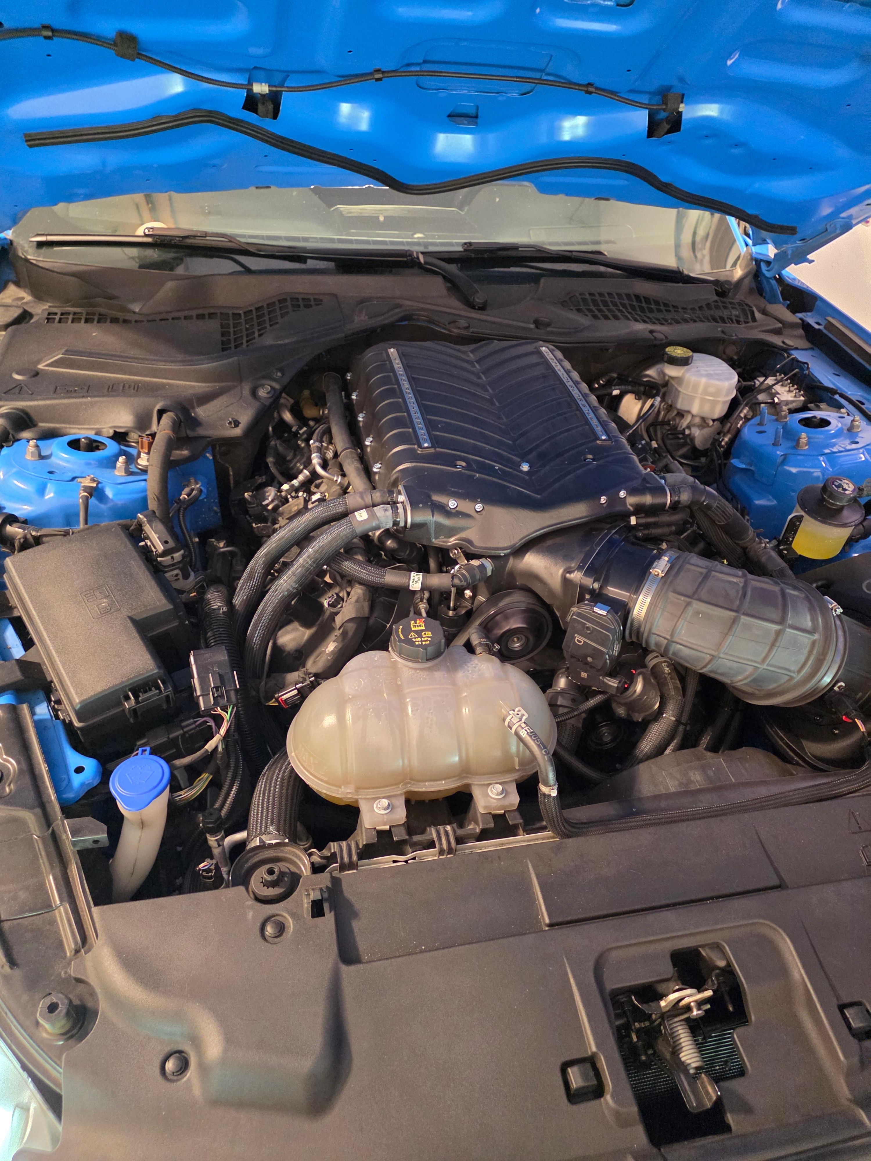 Used 2023 Ford Mustang GT w/ Equipment Group 301A RWD image 8