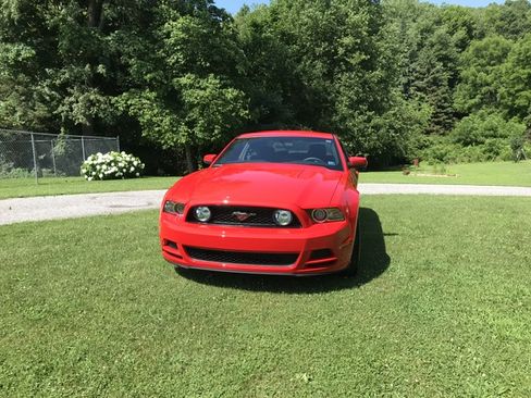 Used 2014 Ford Mustang GT image 10