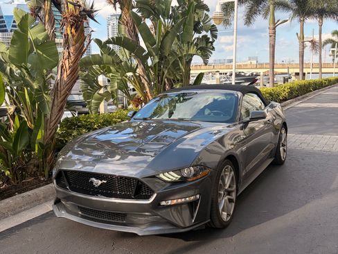 Used 2019 Ford Mustang GT Premium w/ Equipment Group 401A RWD image 1