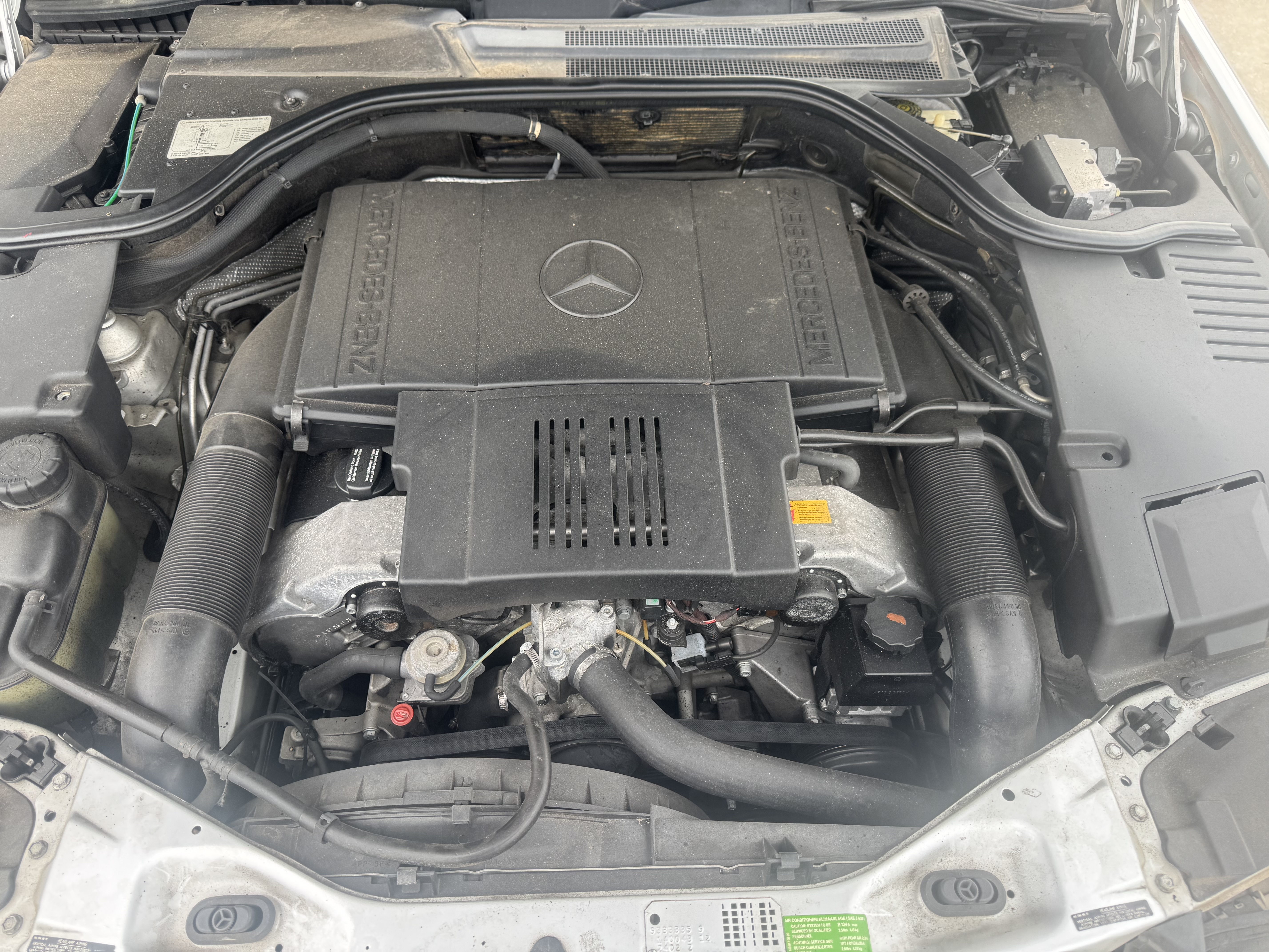 Used 1999 Mercedes-Benz S 420 image 22