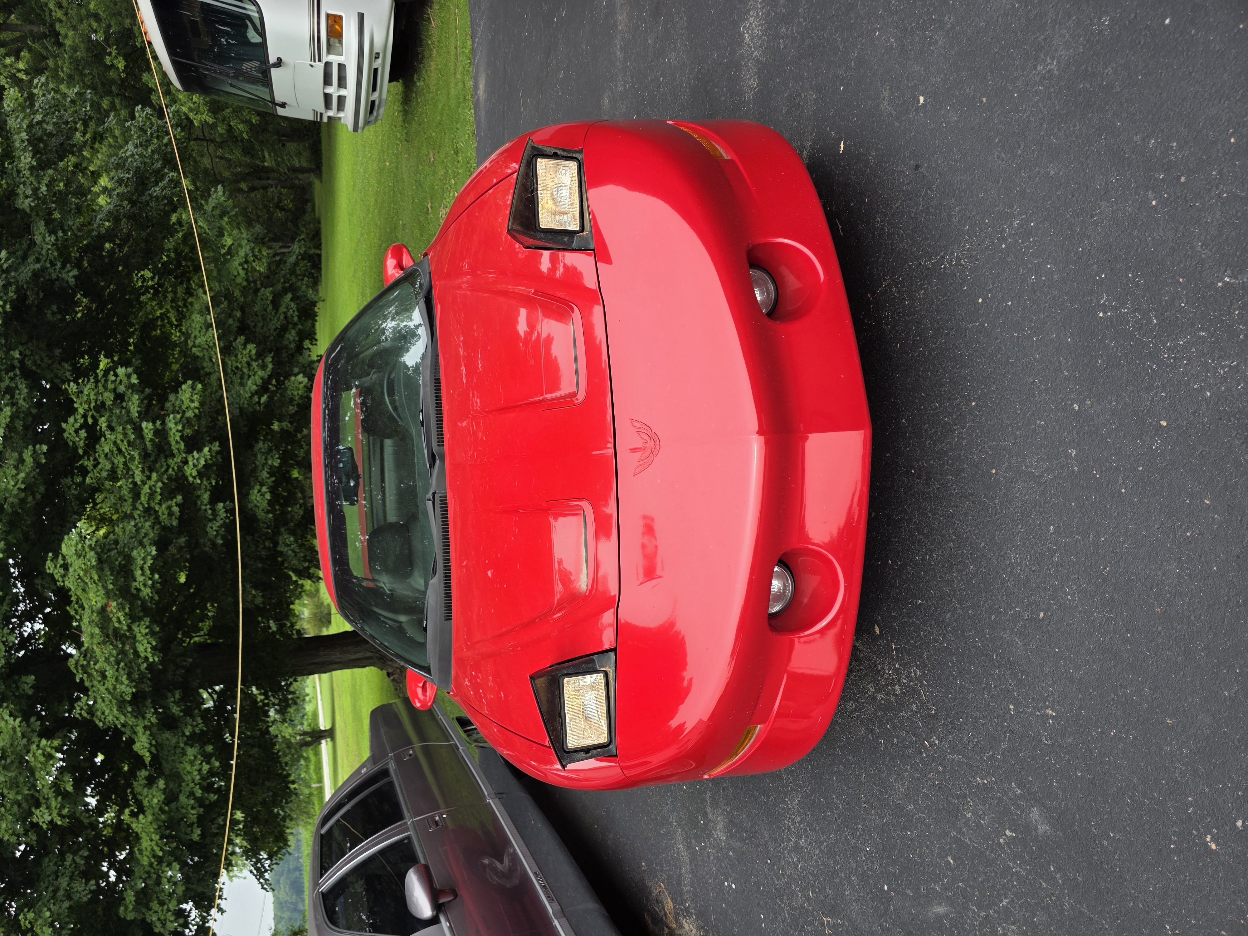 Used 1993 Pontiac Firebird Trans Am RWD image 9