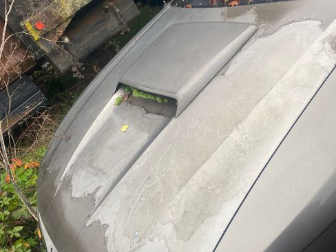 Used 2003 Ford Mustang GT image 5