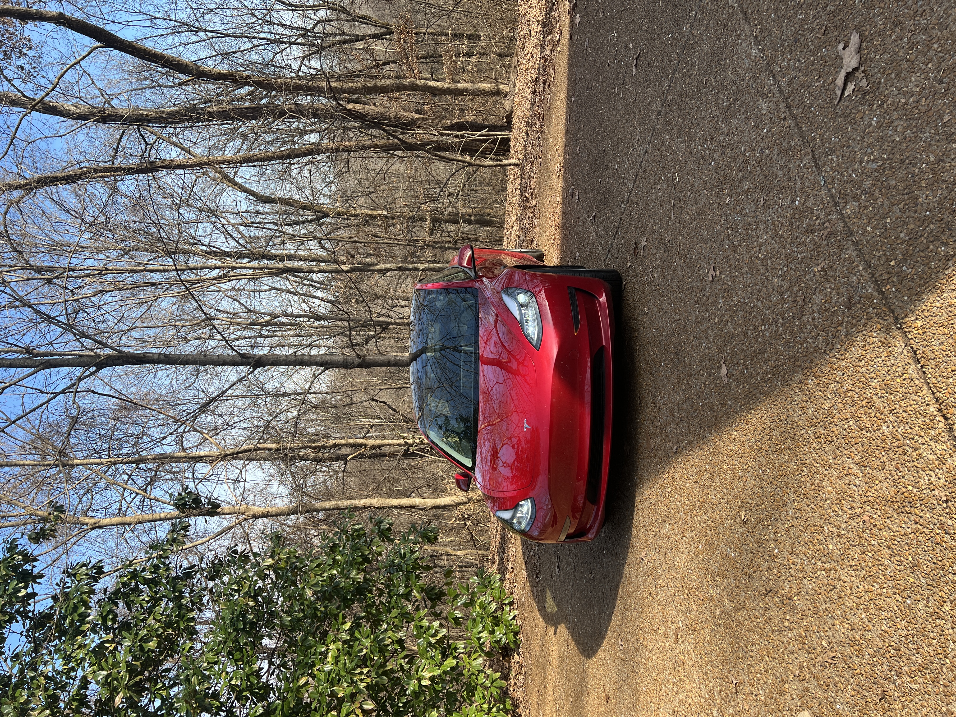 Used 2023 Tesla Model 3 Standard Range RWD image 5
