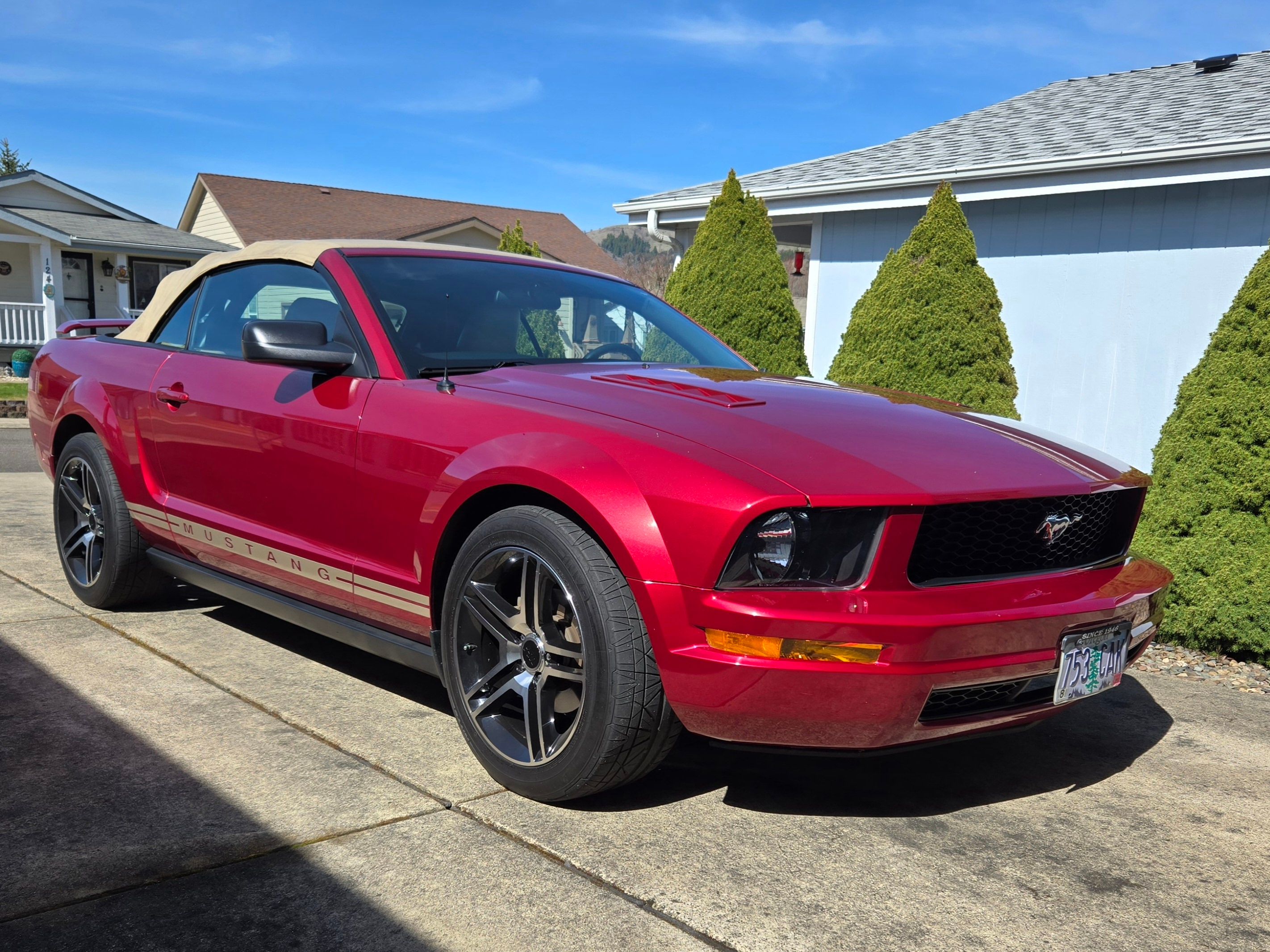 Used 2005 Ford Mustang Premium RWD image 5
