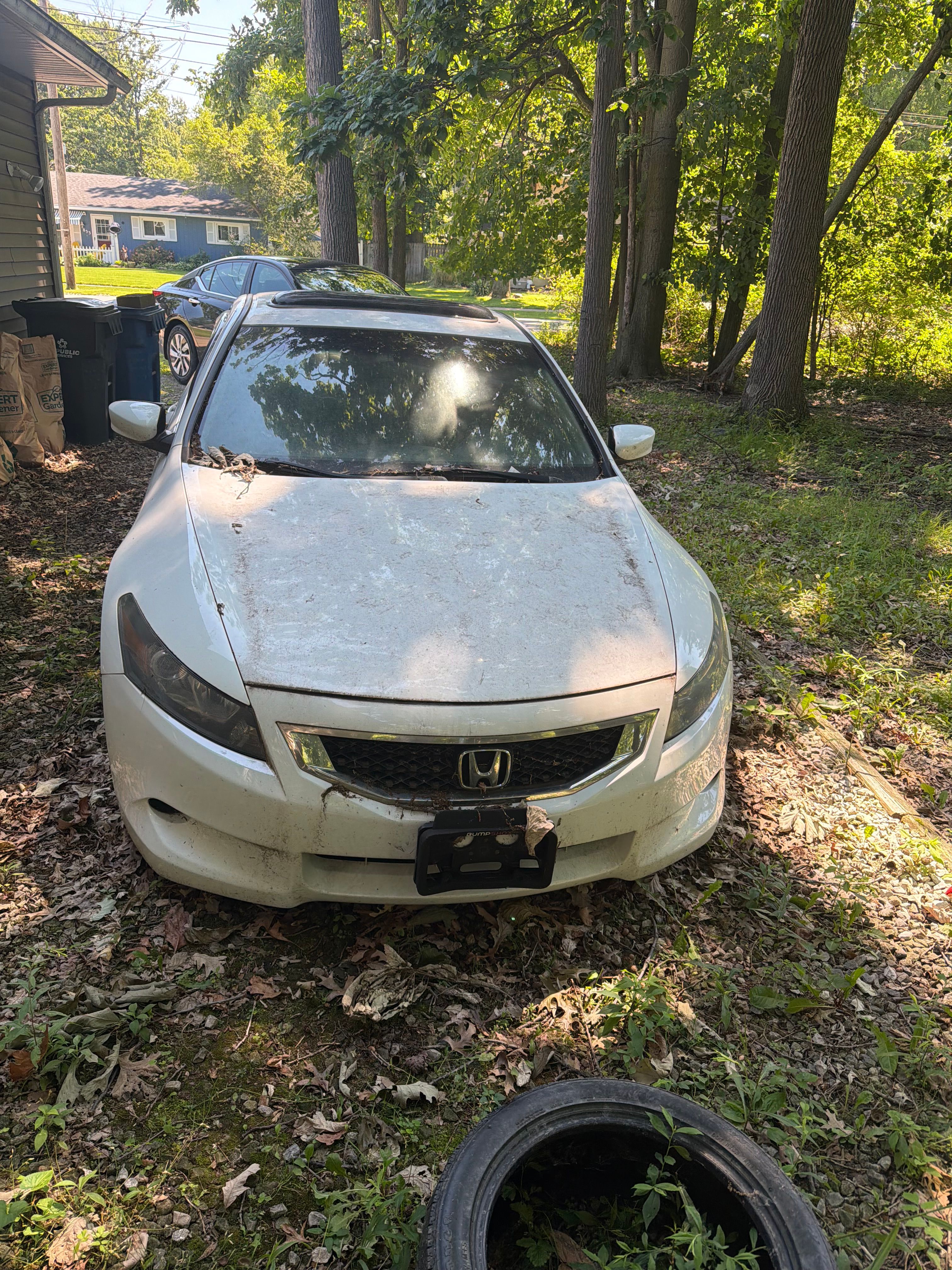 Used 2009 Honda Accord EX-L image 4