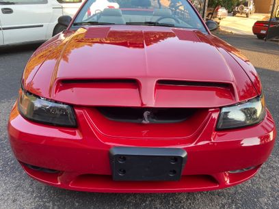 Used 1999 Ford Mustang Cobra