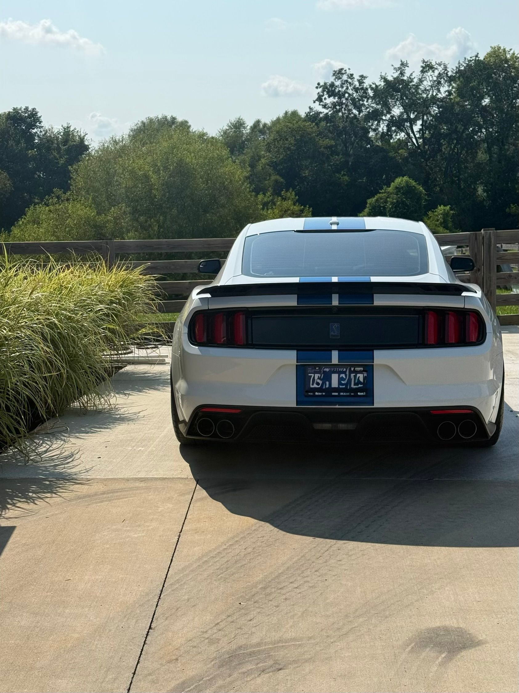 Used 2017 Ford Mustang Shelby GT350 RWD image 2
