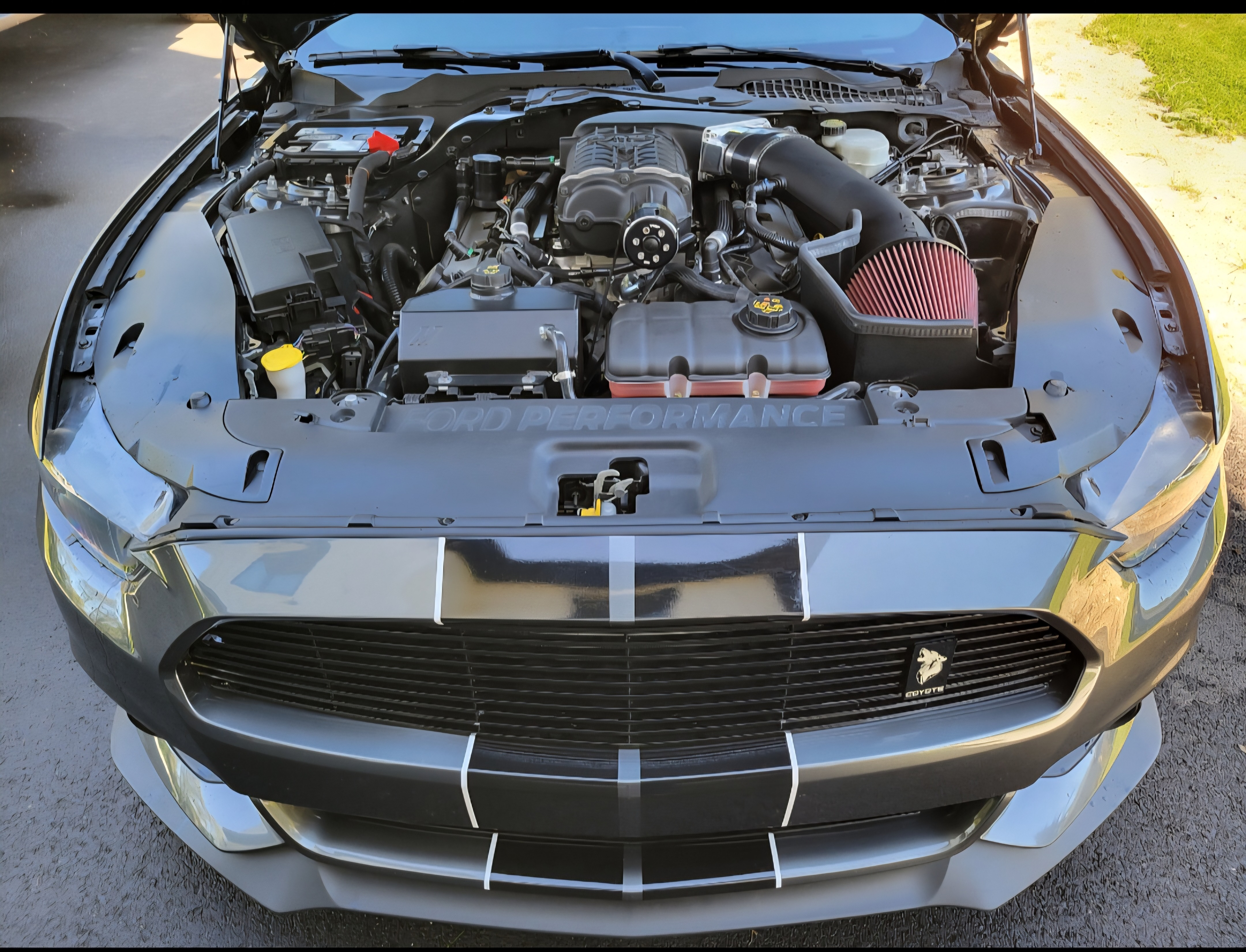 Used 2016 Ford Mustang GT Premium w/ GT Performance Package RWD image 1