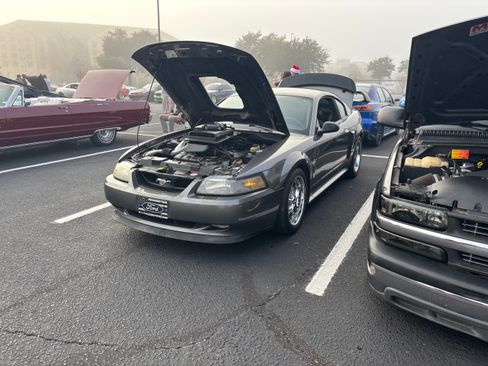 Used 2003 Ford Mustang Mach 1 image 15