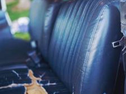 Used 1994 Chevrolet Silverado 1500 2WD Extended Cab image 11