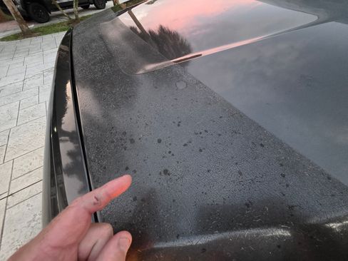 Used 2015 Toyota Tundra Platinum image 13