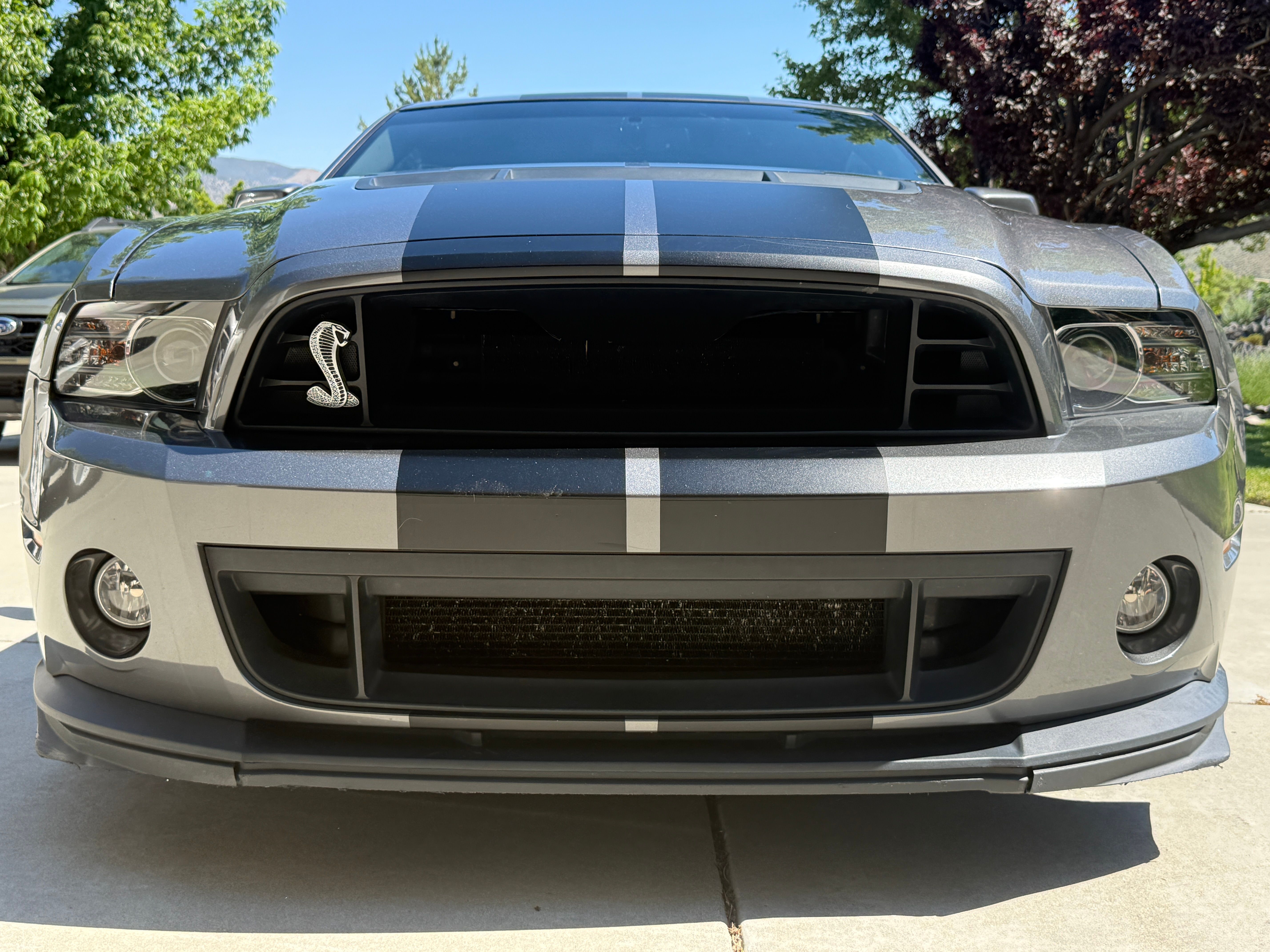 Used 2013 Ford Mustang Shelby GT500 RWD image 10