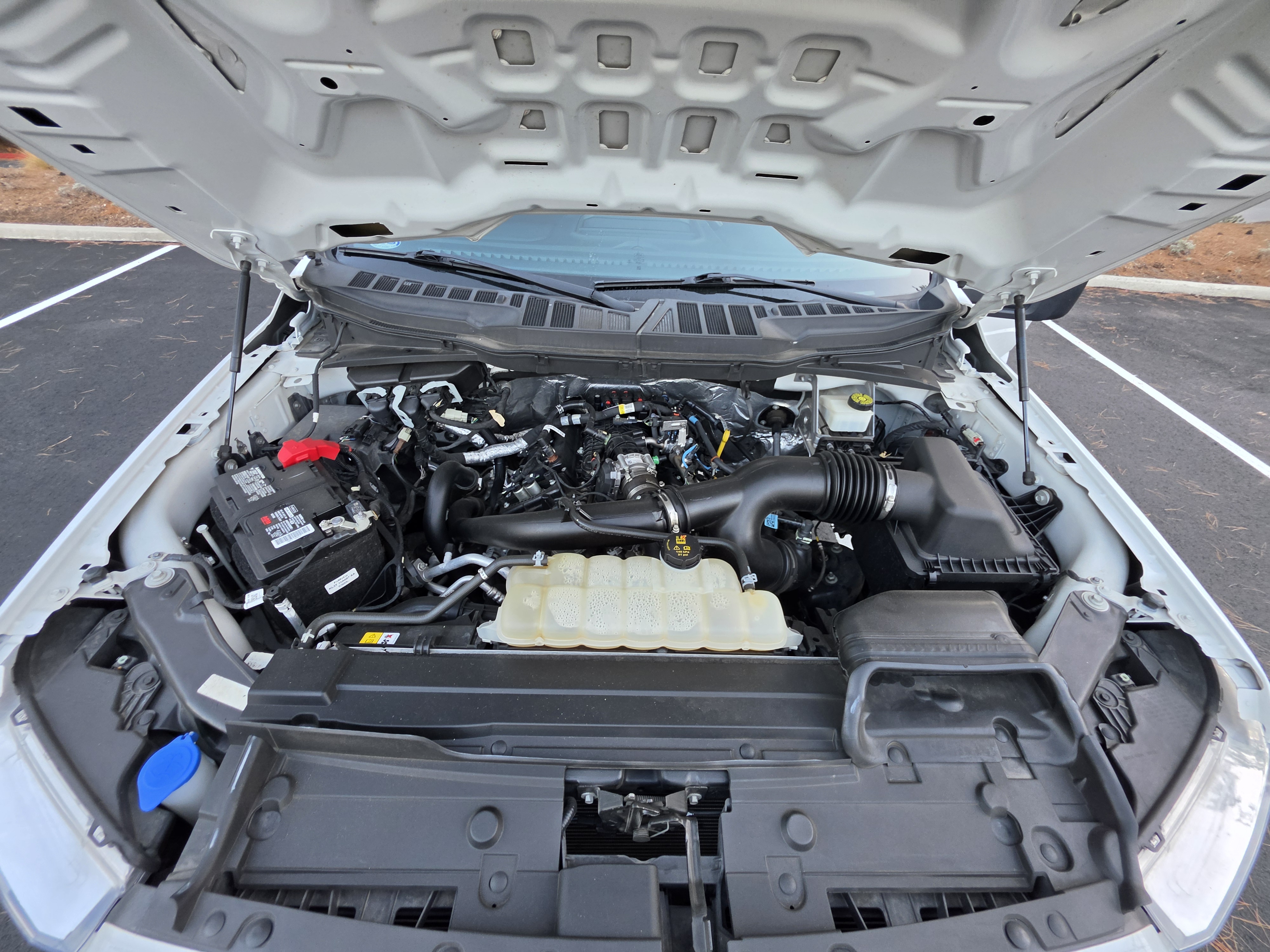 Used 2022 Ford F150 XL w/ STX Appearance Package RWD image 15