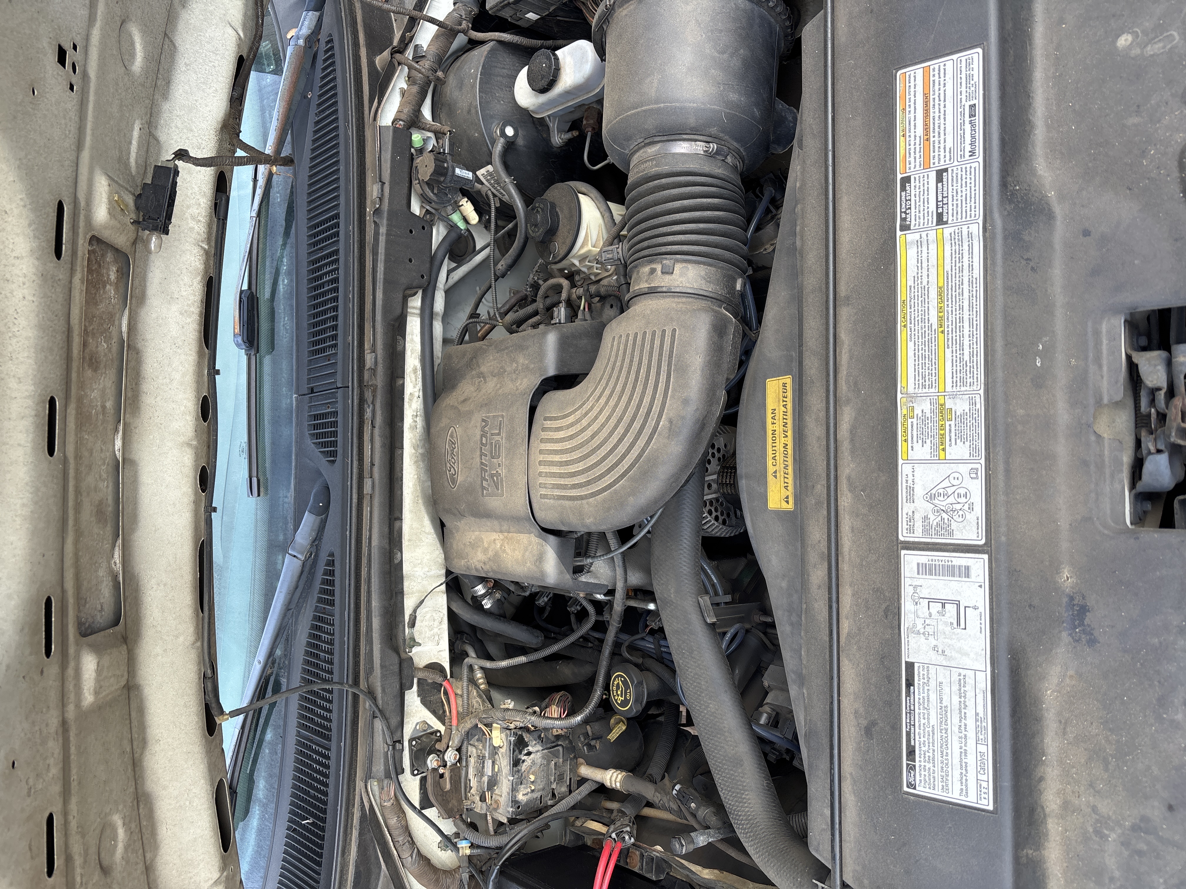 Used 1999 Ford F150 2WD SuperCab image 8