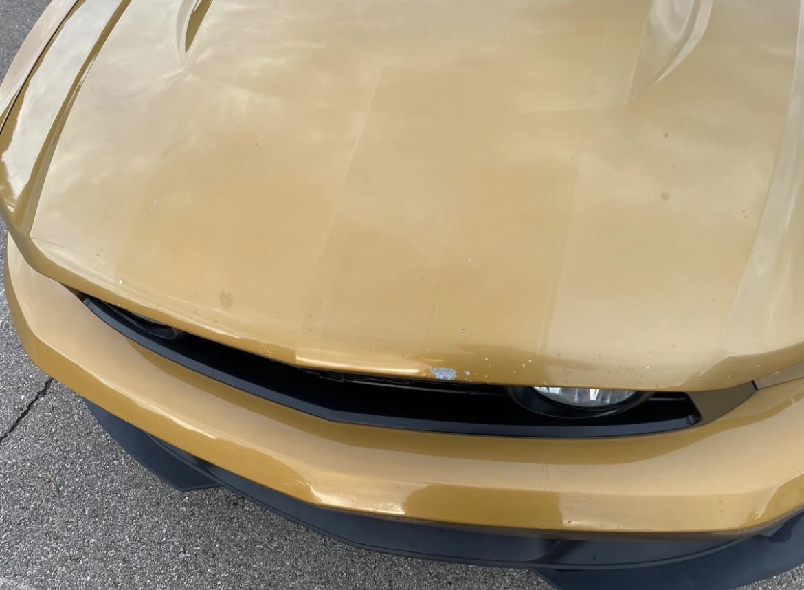 Used 2010 Ford Mustang GT RWD image 2