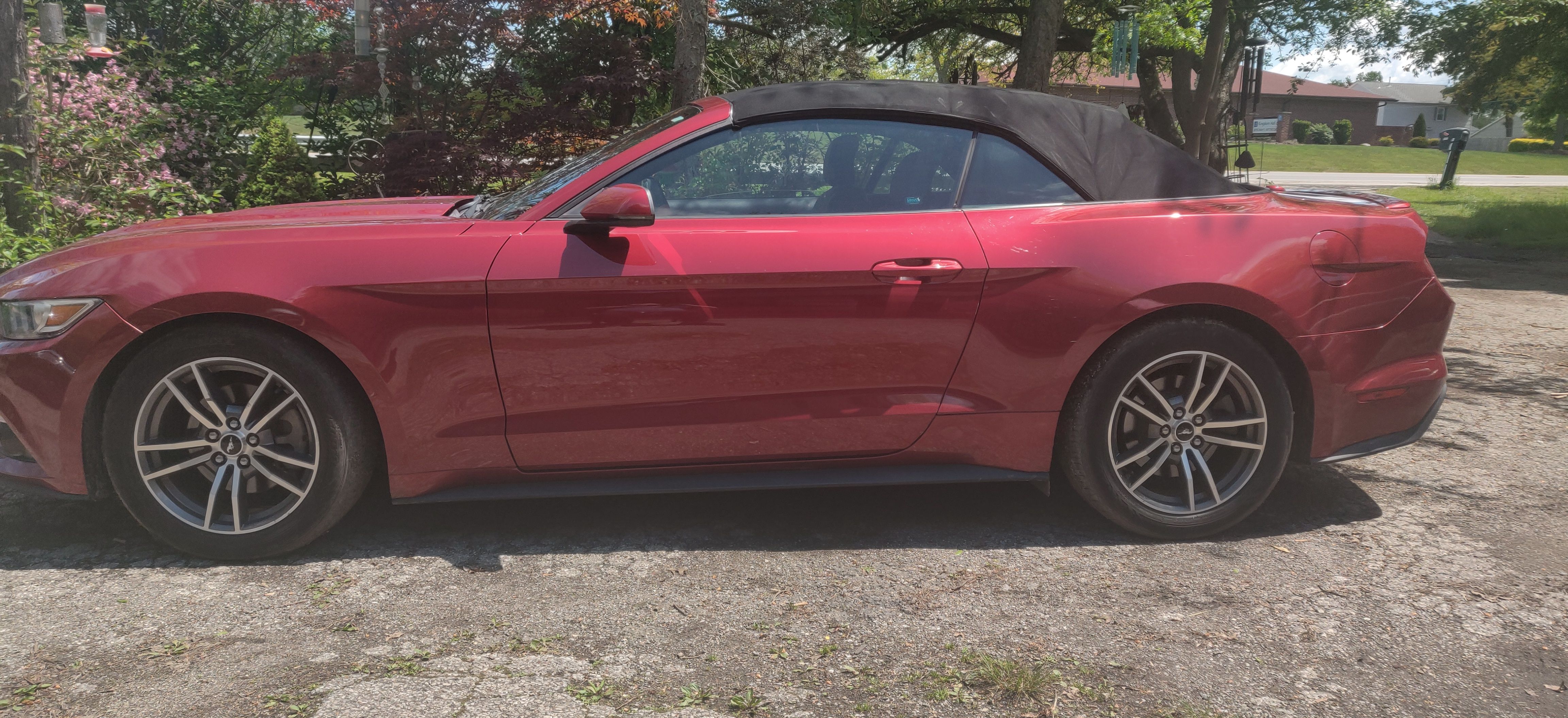 Used 2016 Ford Mustang Premium RWD image 6