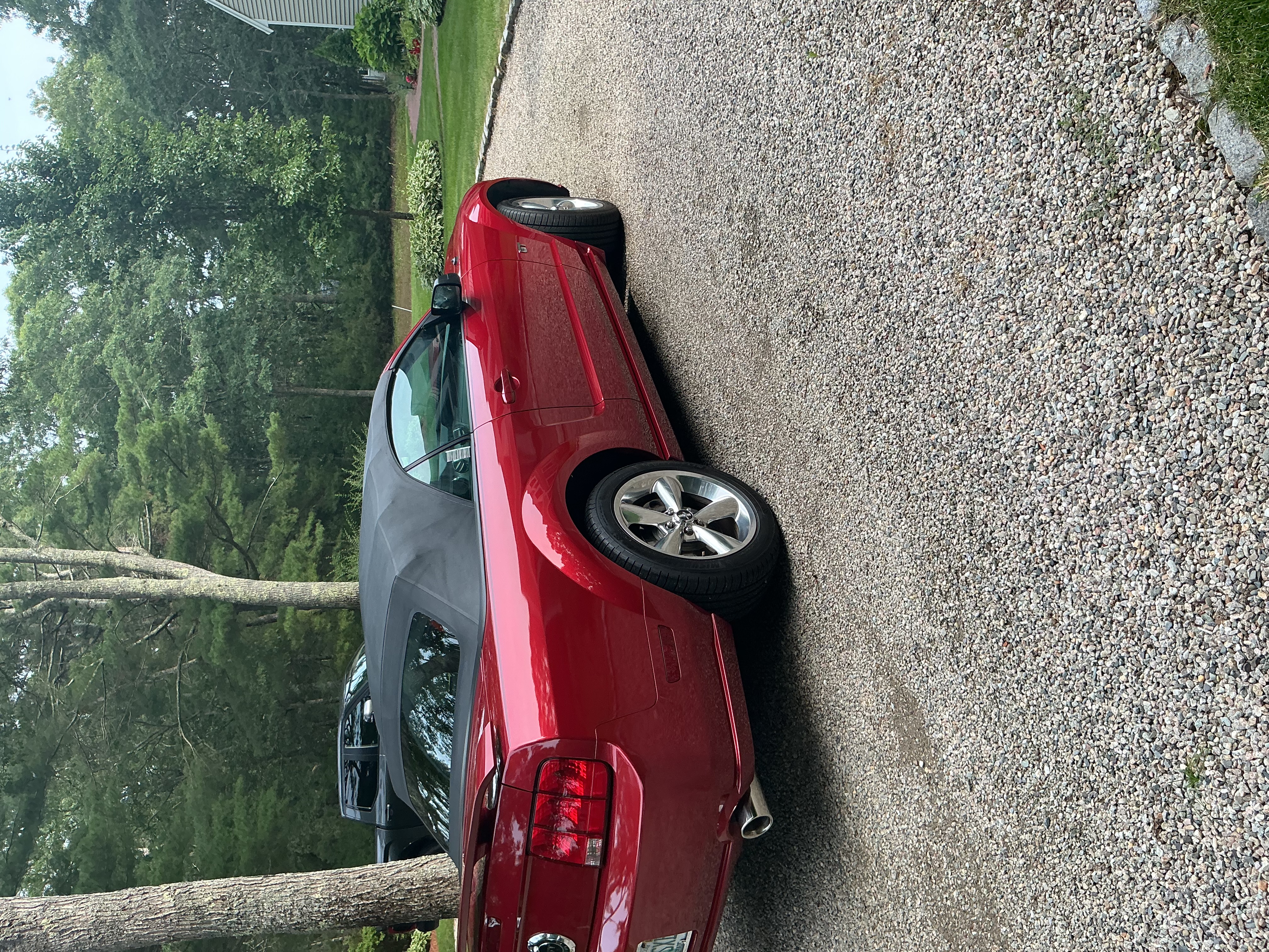 Used 2008 Ford Mustang GT Premium RWD image 5