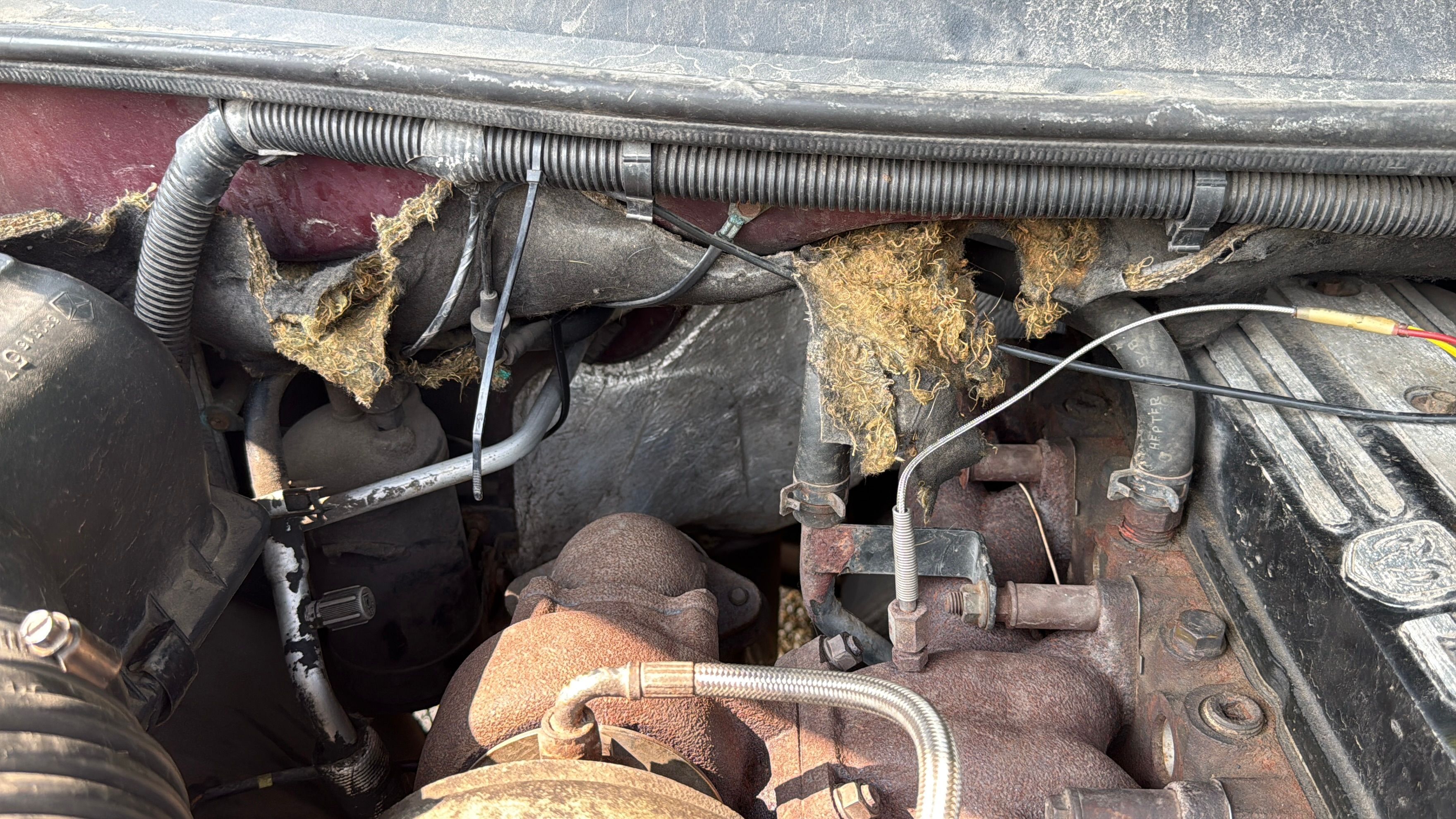 Used 2001 Dodge Ram 2500 Truck 2WD Quad Cab image 25