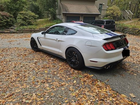 Used 2016 Ford Mustang Shelby GT350 w/ Track Package image 5