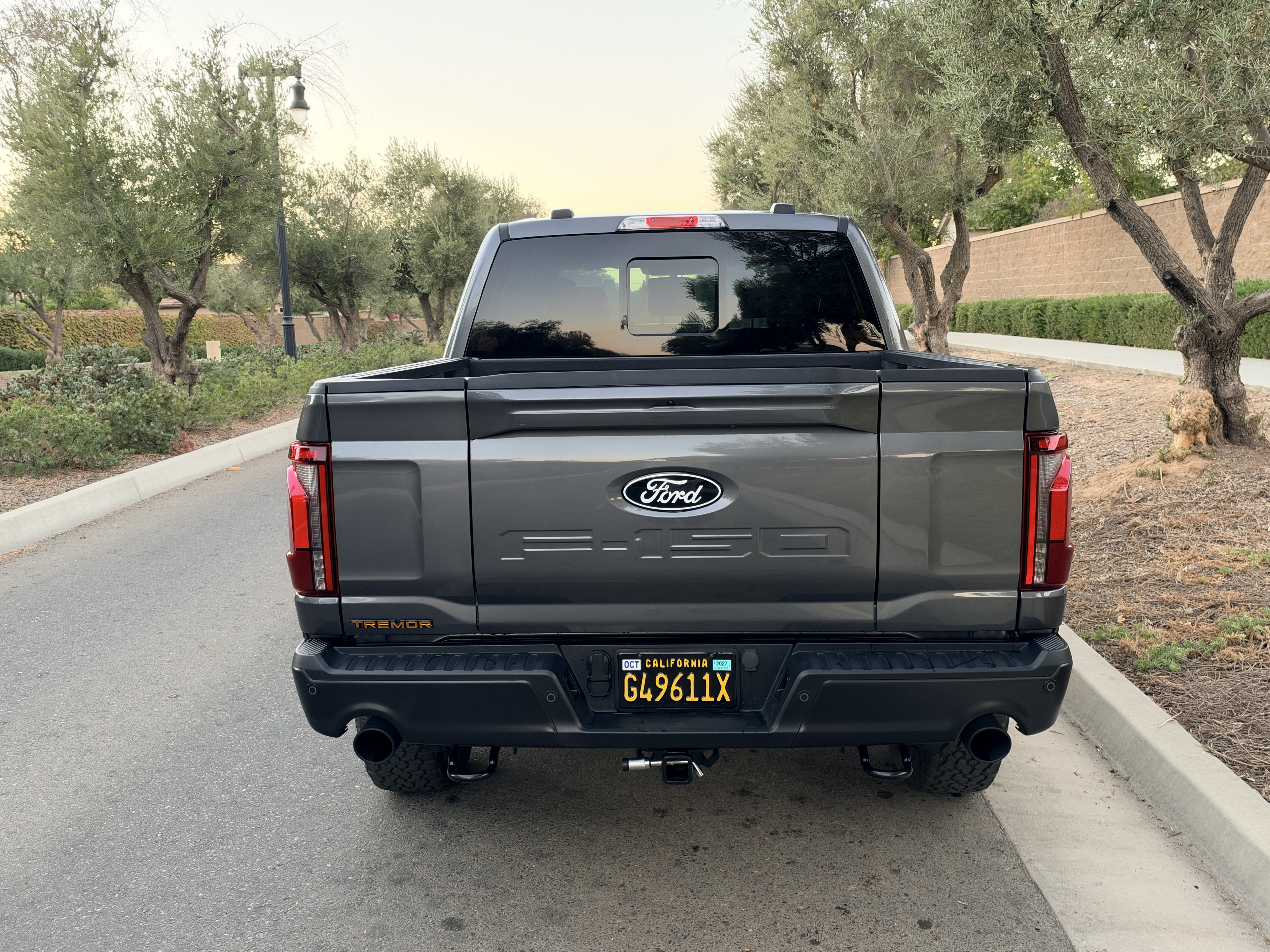 Used 2025 Ford F150 Tremor w/ Equipment Group 402A High AWD/4WD image 6