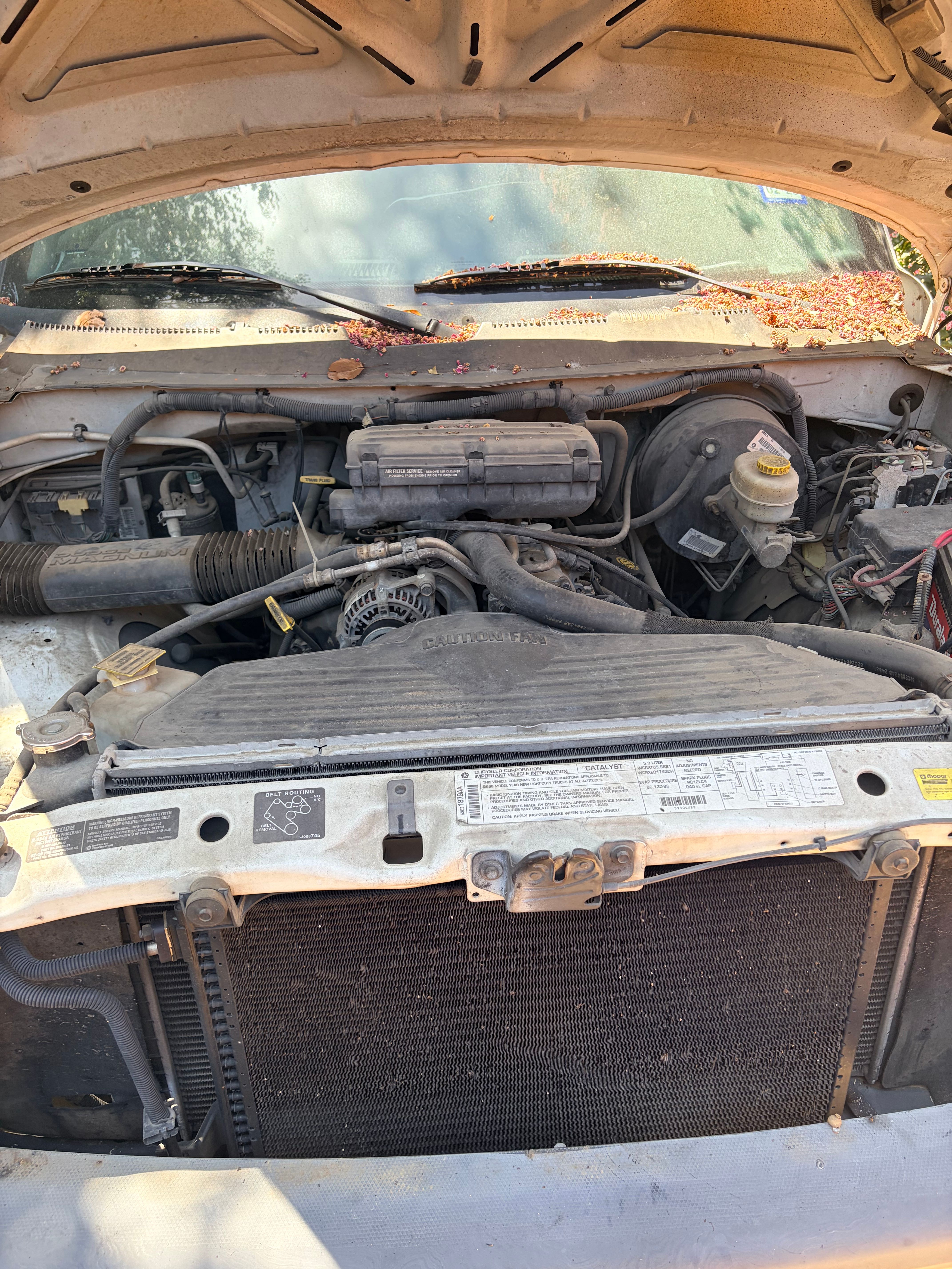 Used 1998 Dodge Ram 1500 Truck 2WD Quad Cab image 13