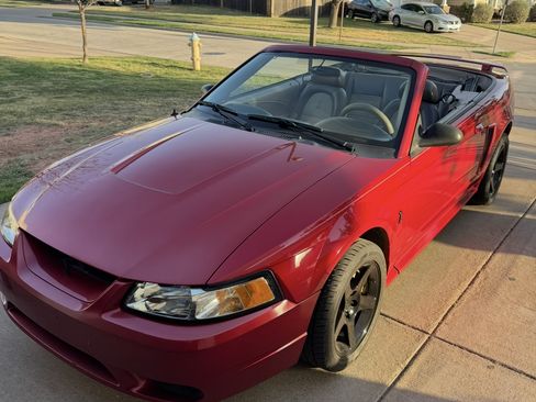 Used 2001 Ford Mustang Cobra image 4