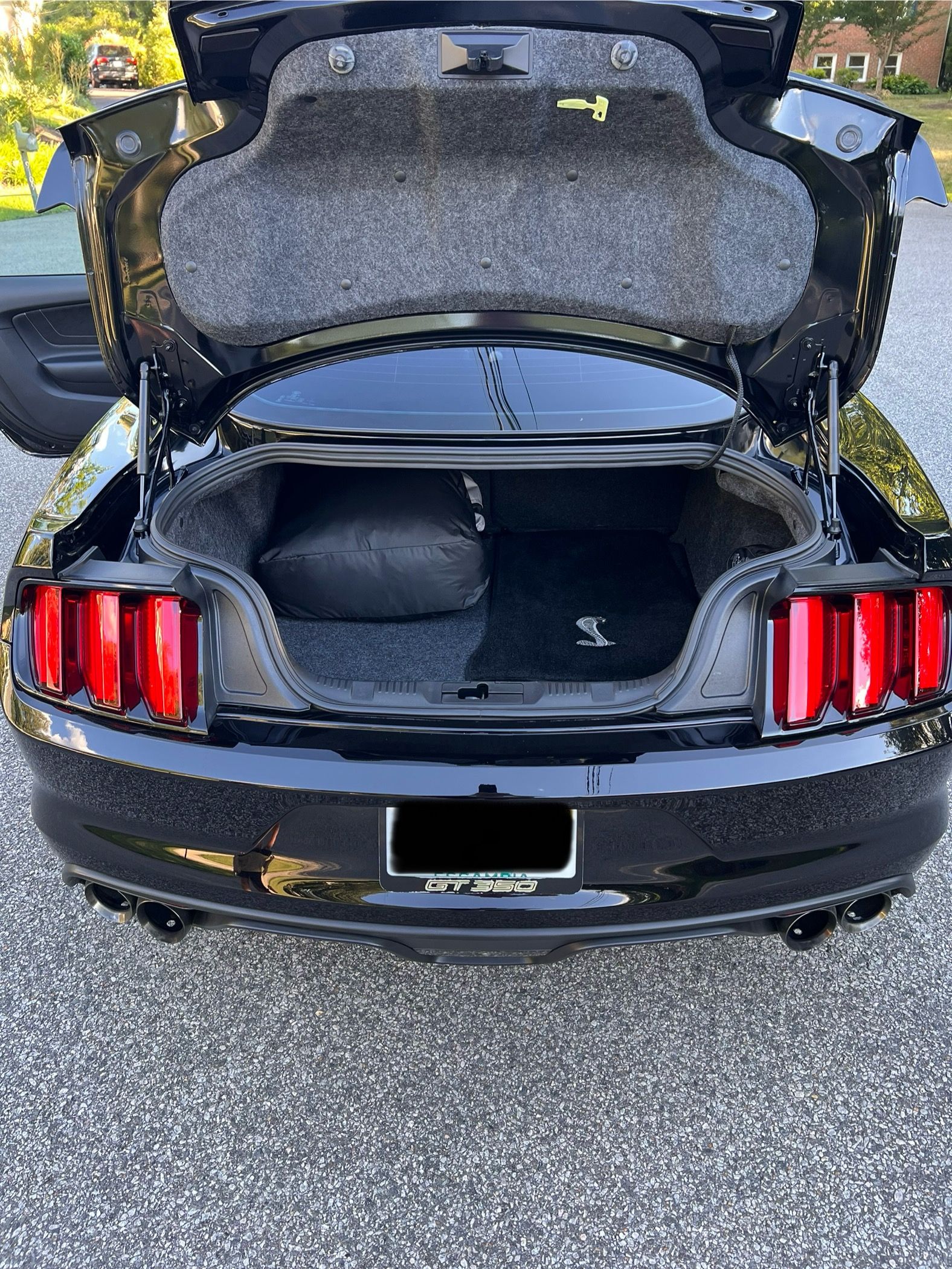 Used 2018 Ford Mustang Shelby GT350 w/ Electronics Package RWD image 15