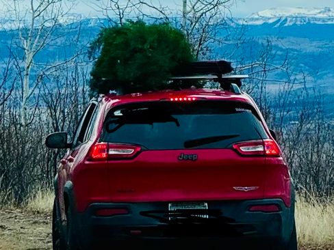 Used 2017 Jeep Cherokee Trailhawk w/ Cold Weather Group image 2