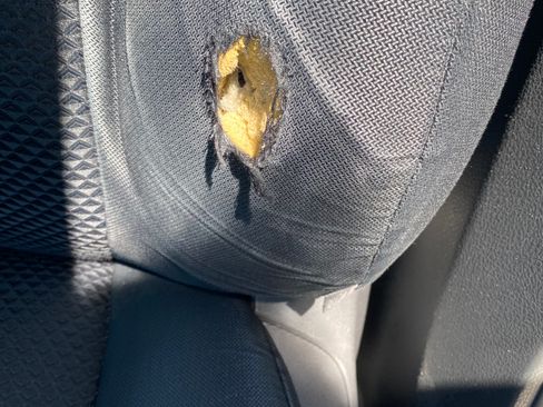 Used 2011 Toyota Camry SE image 8