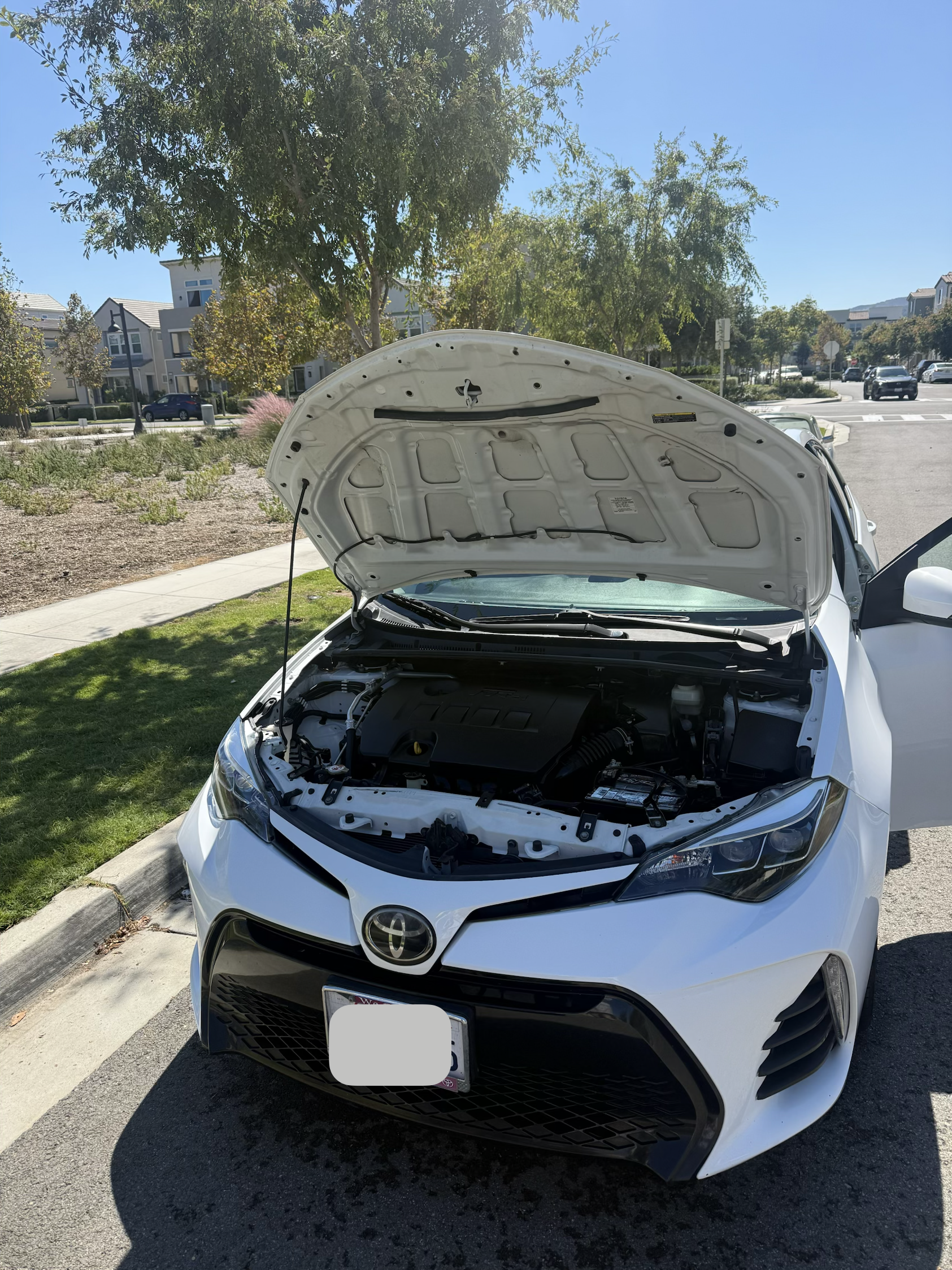 Used 2019 Toyota Corolla SE FWD image 6