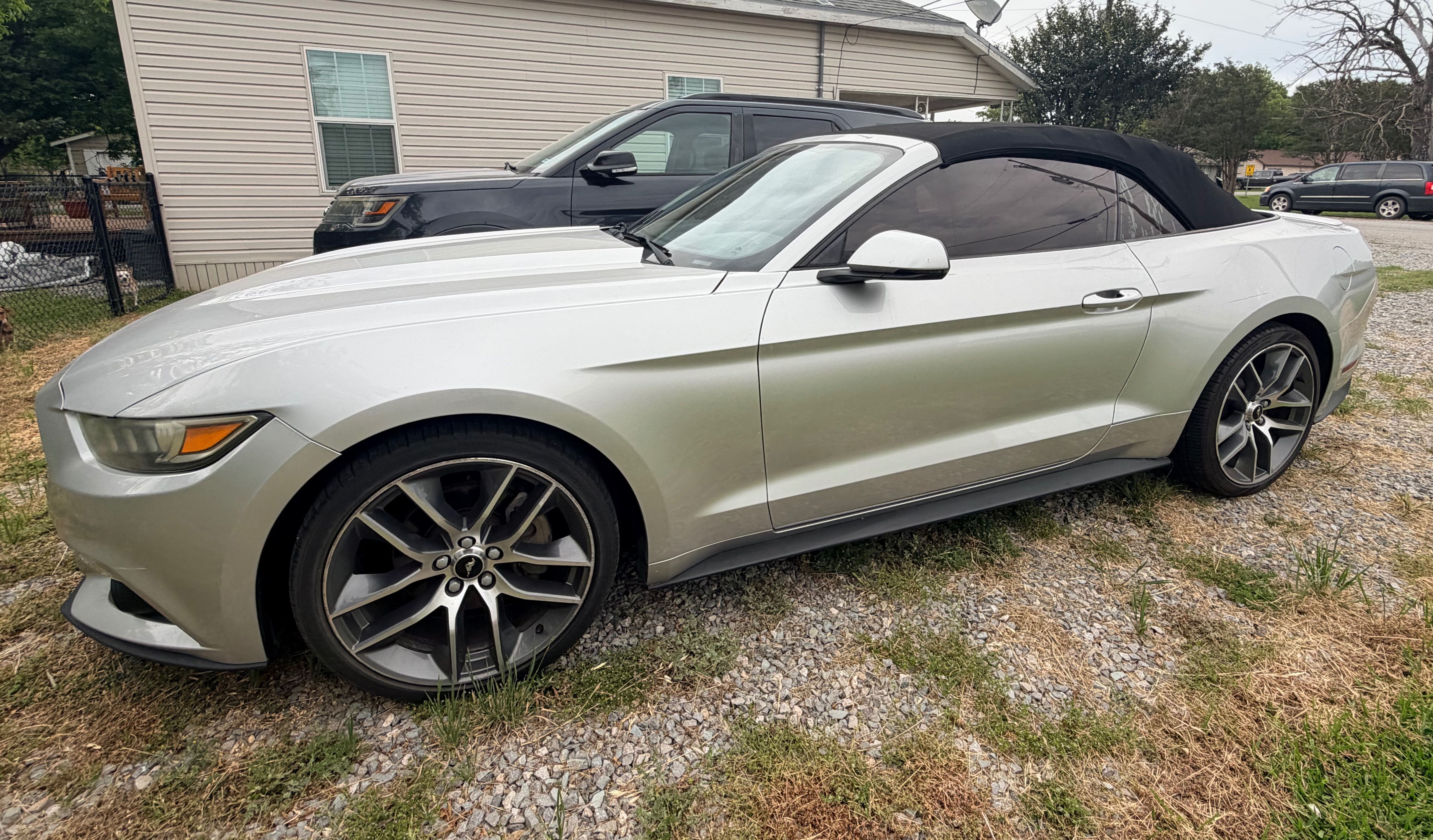Used 2016 Ford Mustang Premium RWD image 1