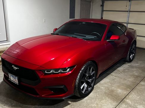 Used 2024 Ford Mustang Premium image 14